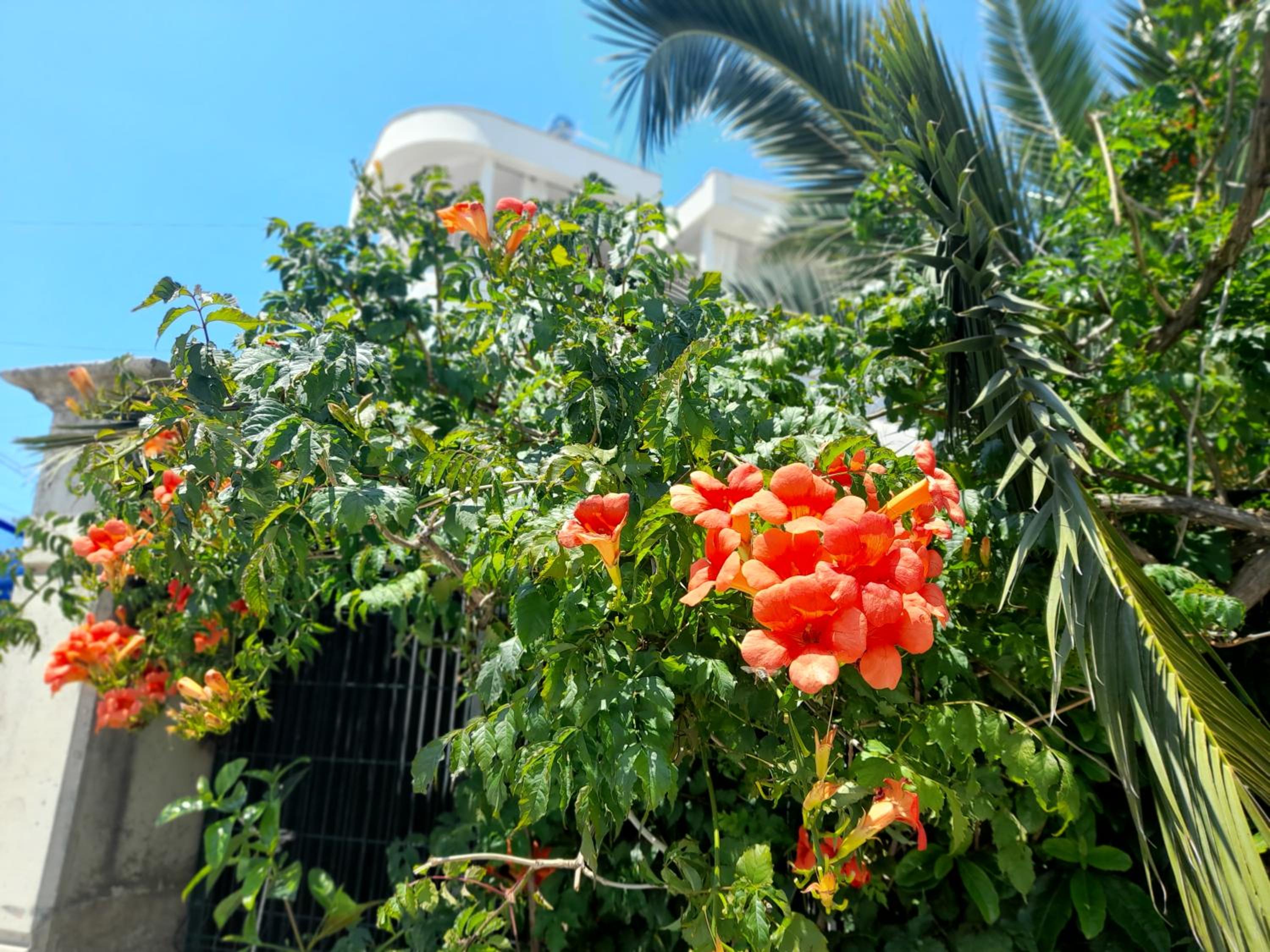 Vila Marjana