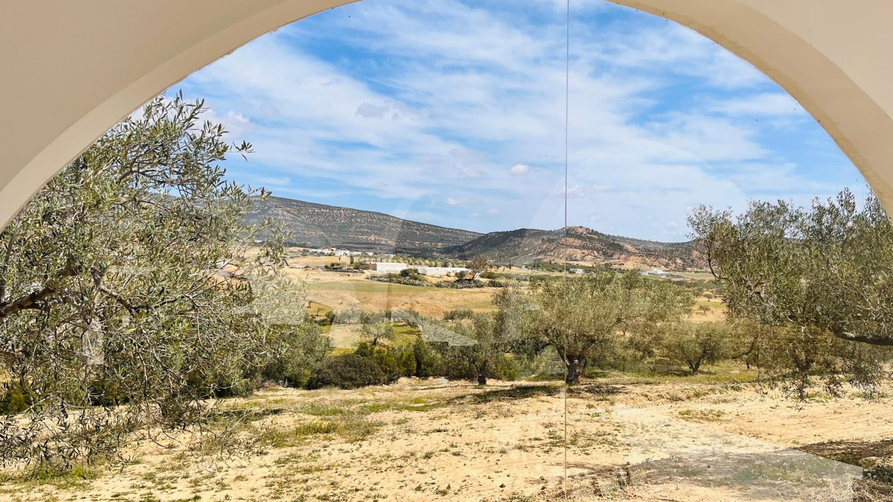 Villa in the mountains Hammamet