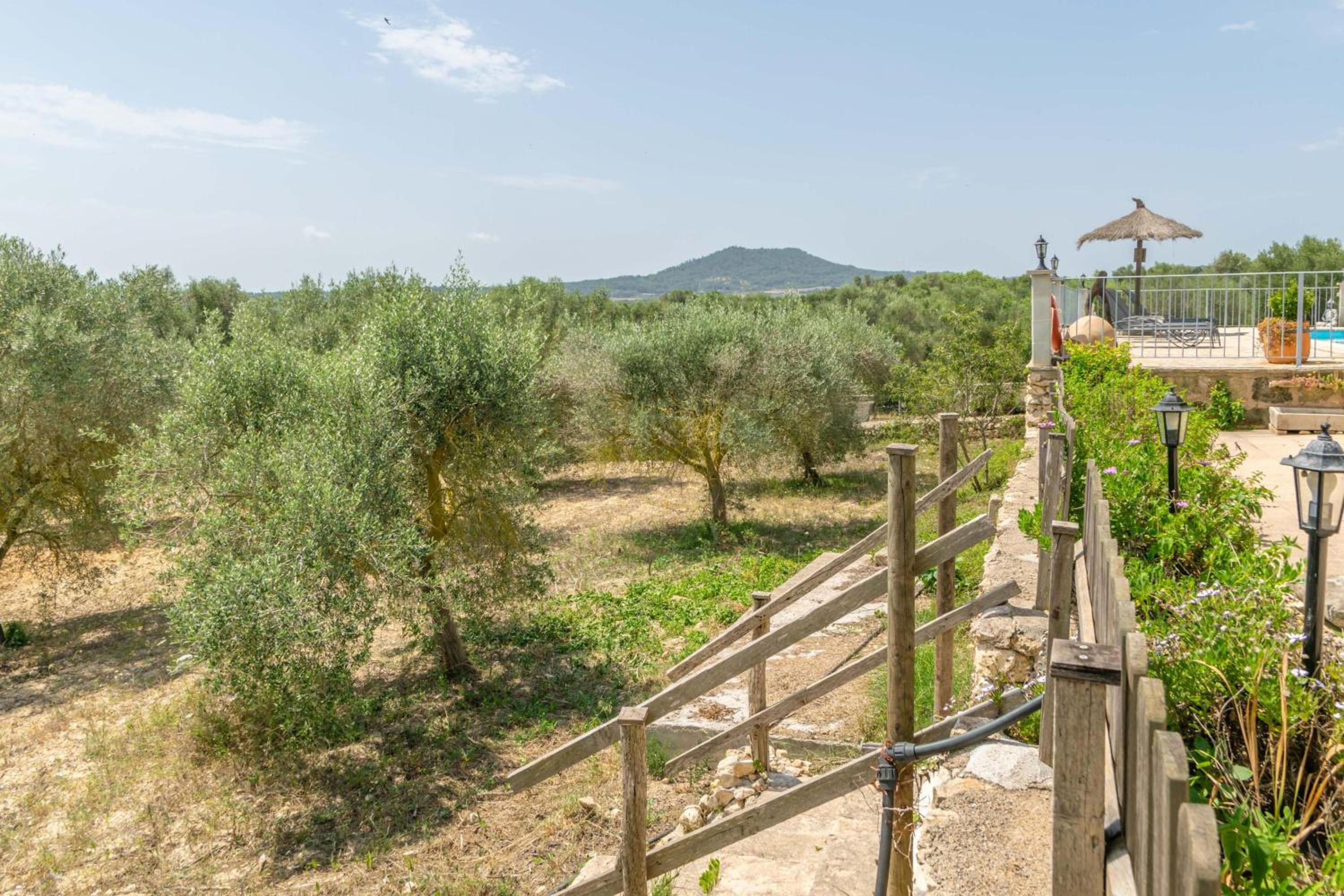 Finca Son Puça