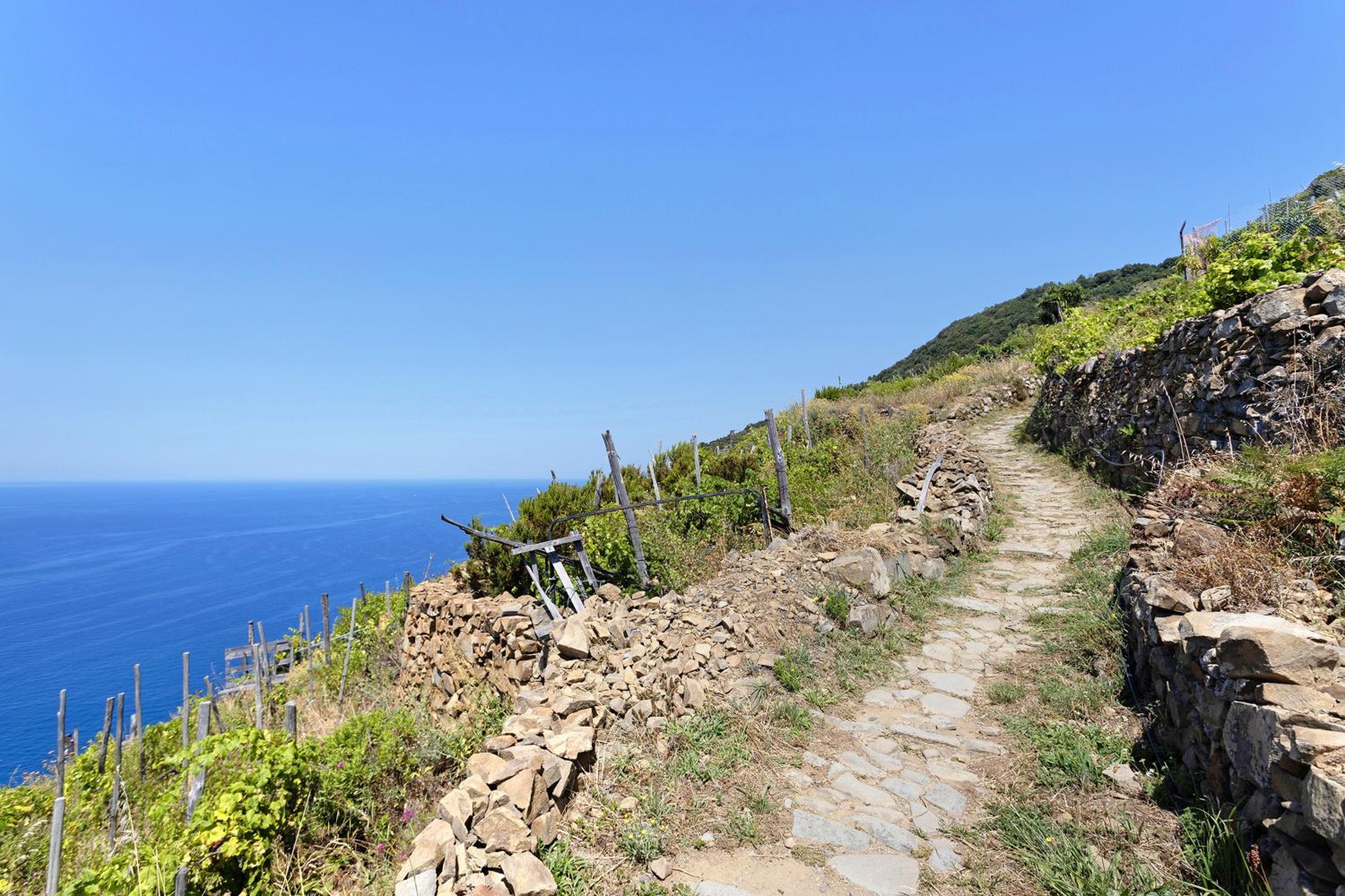 Schiara