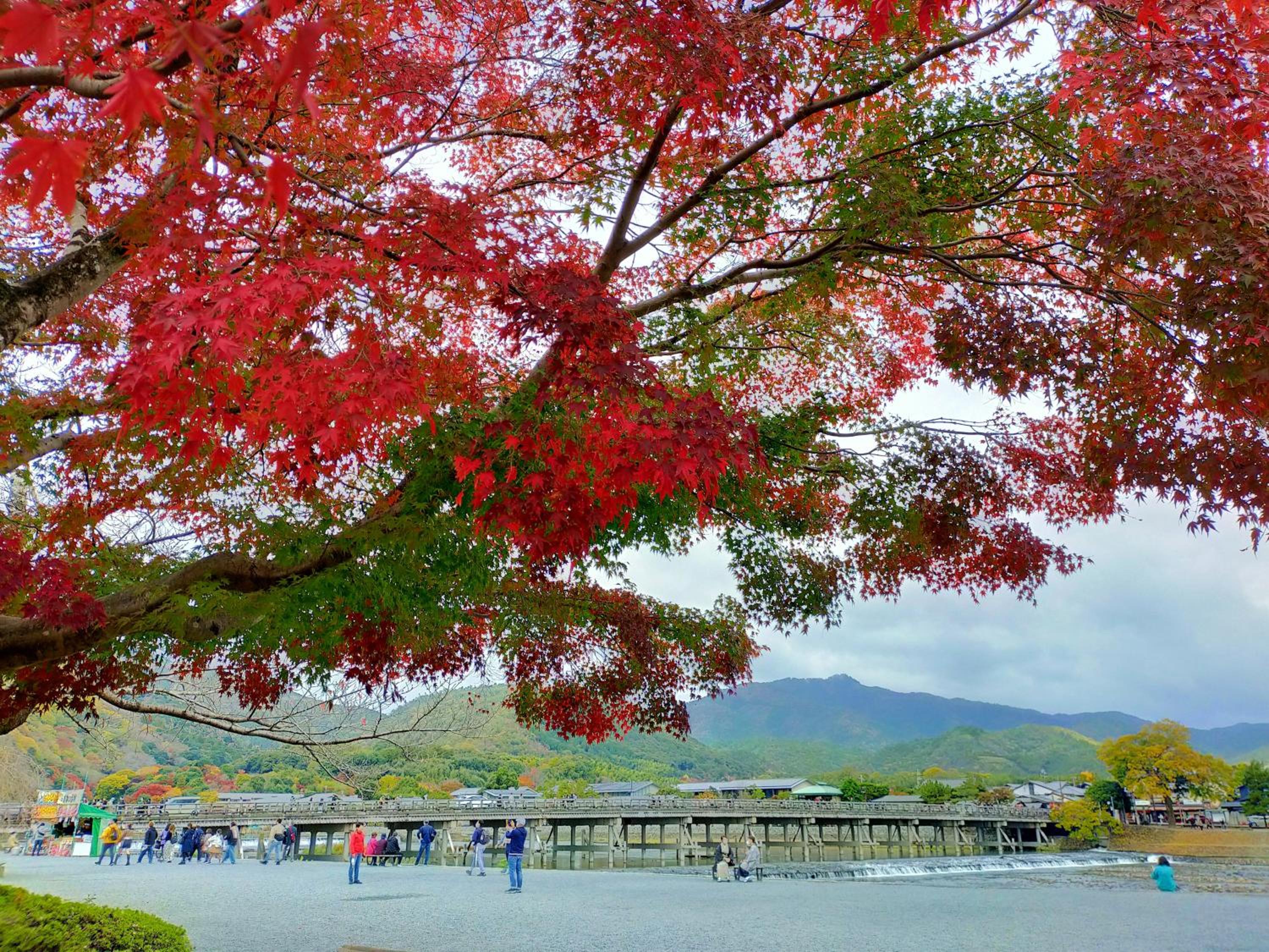Kadensho, Arashiyama Onsen, Kyoto - Kyoritsu Resort 84