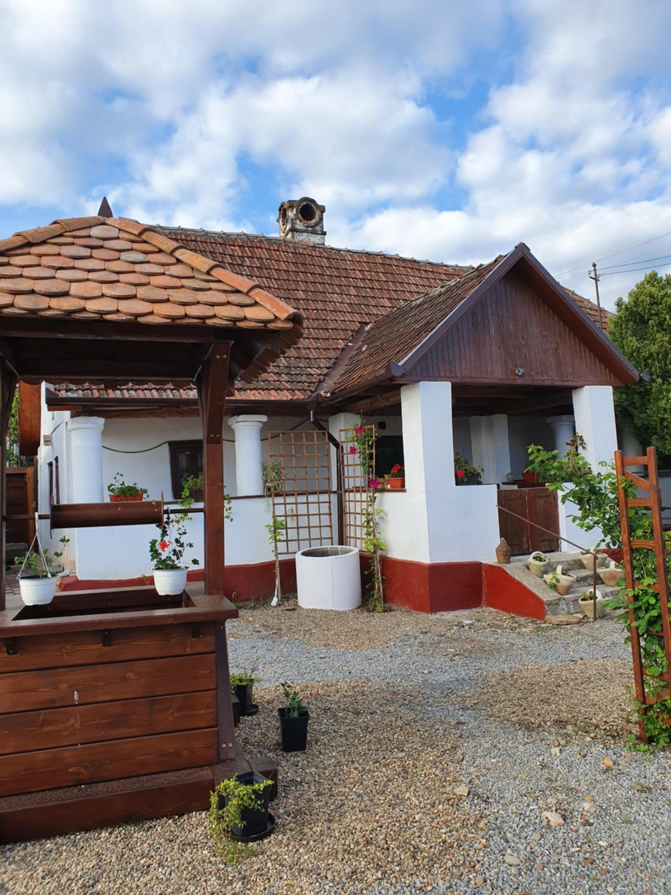 Pensiunea Aurelia view 5
