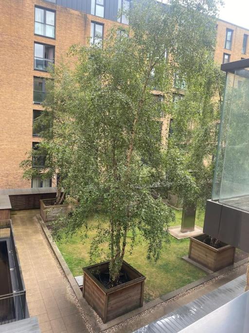 Arcadian Apartment