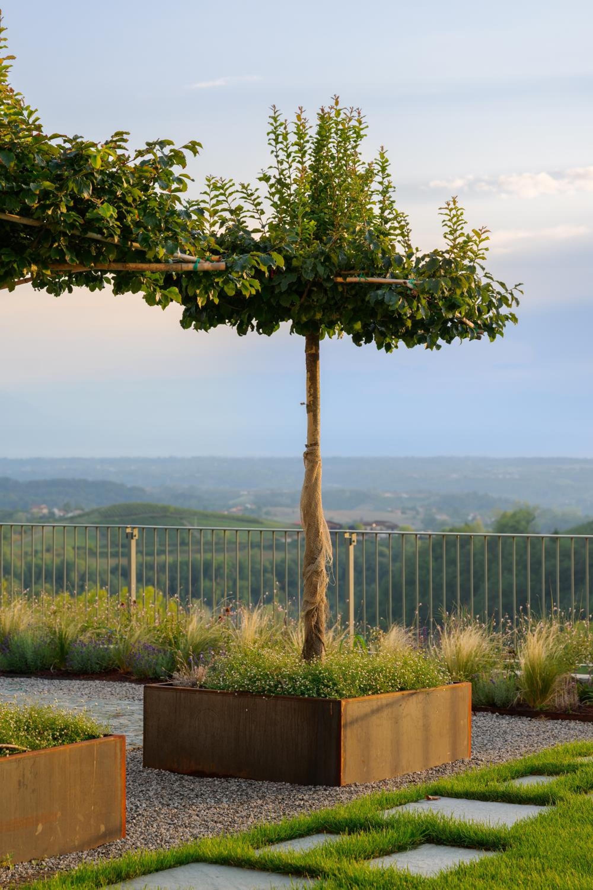 iCOLLIROSSI Agriturismo