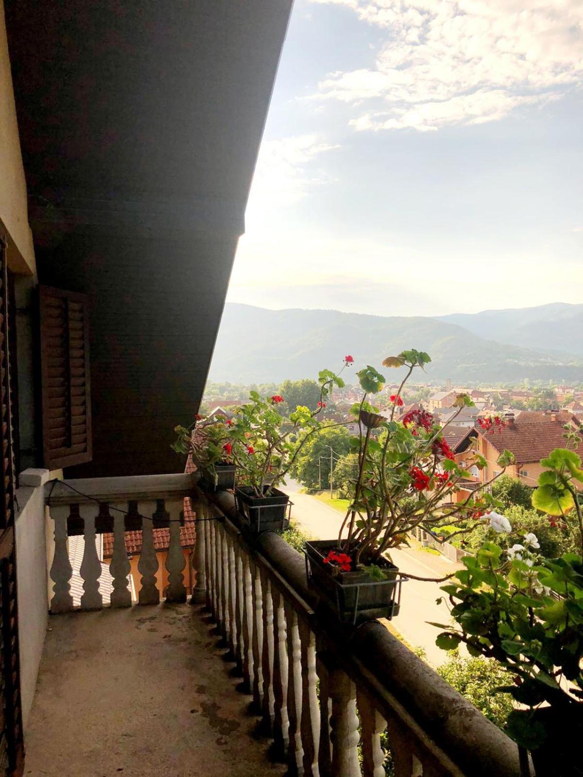 Apartman Alex 8