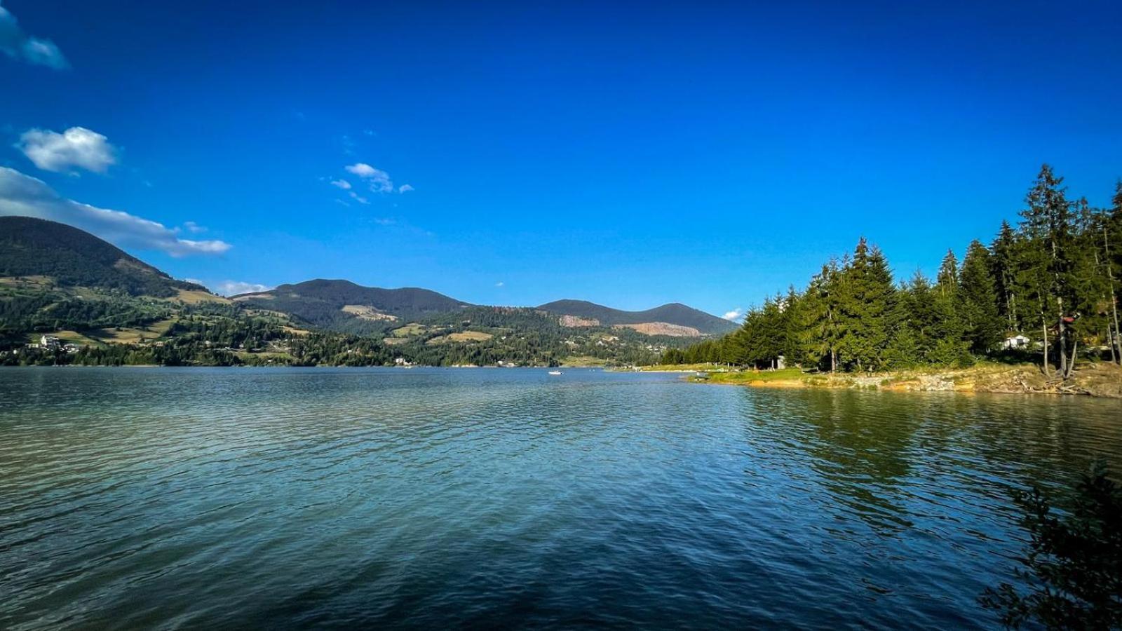 Photo 120