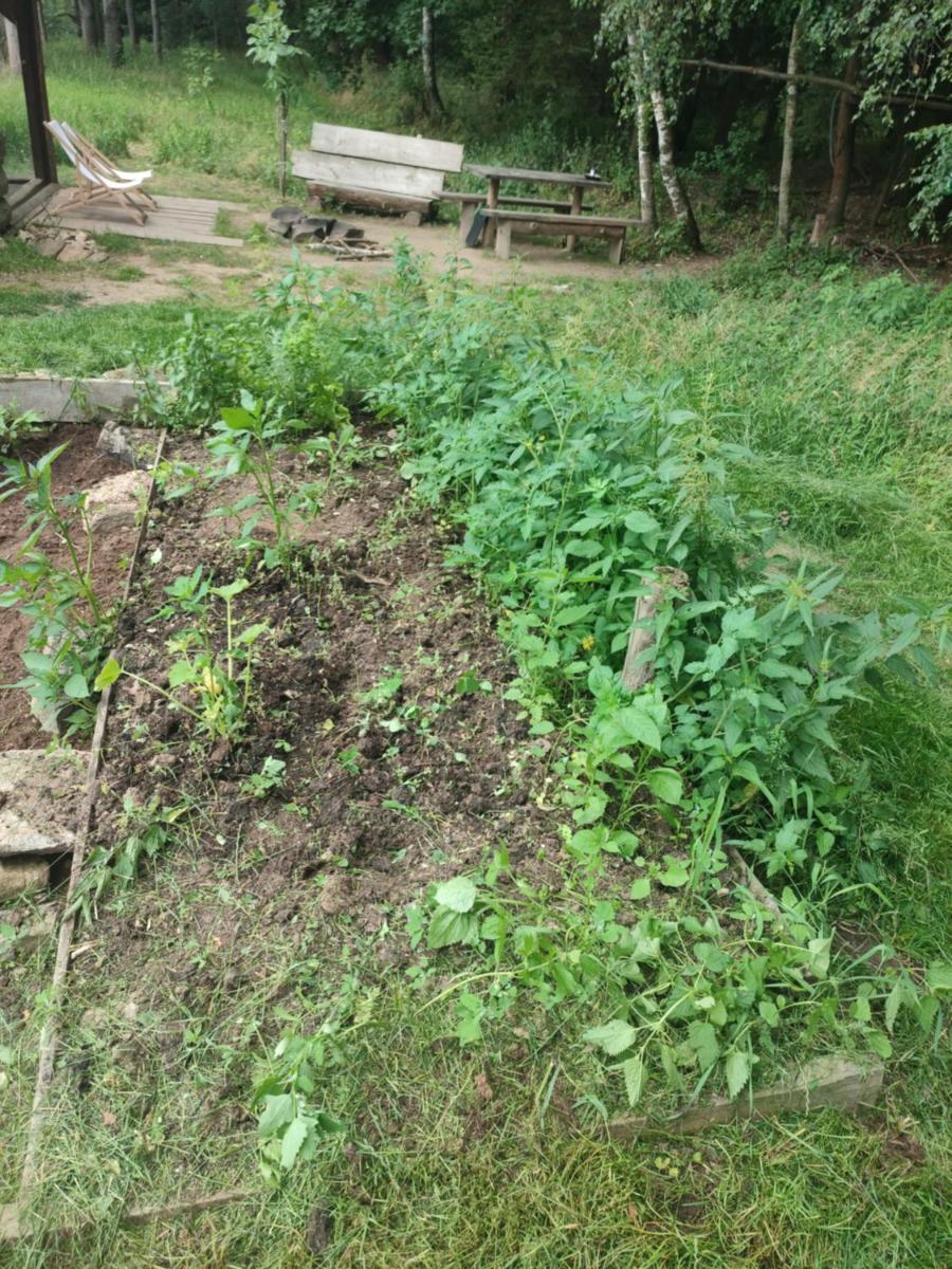Photo 6