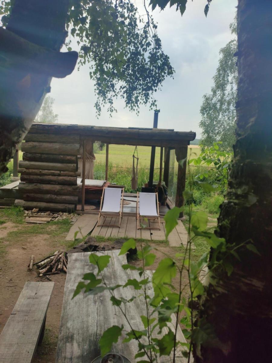 NA VĚTVI view 2