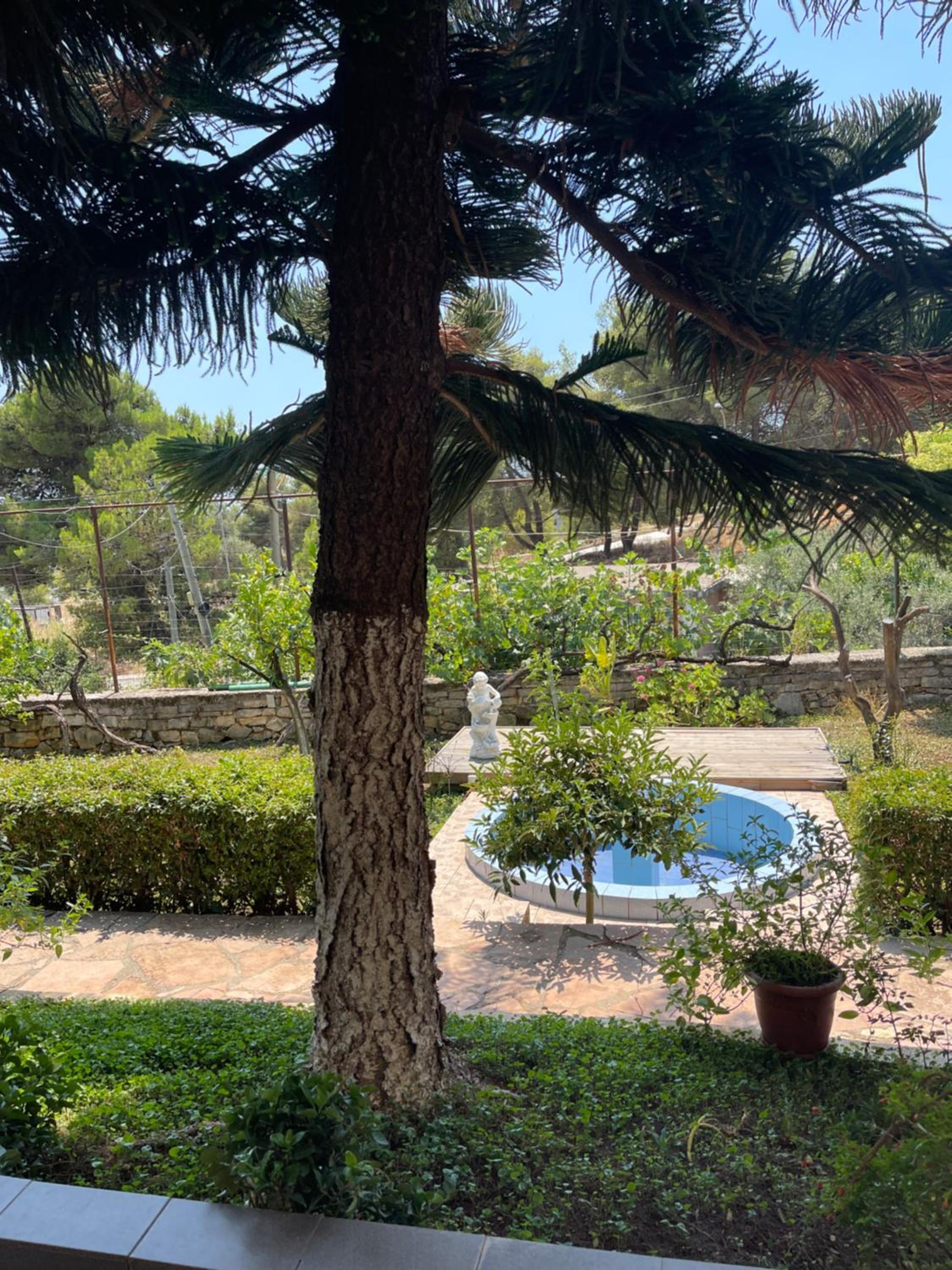 Elias Guest House
