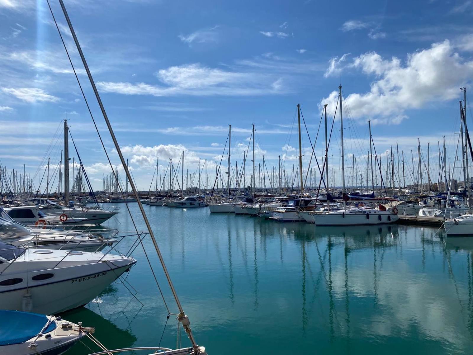 Nice and new furnished apartments in Torrevieja centre