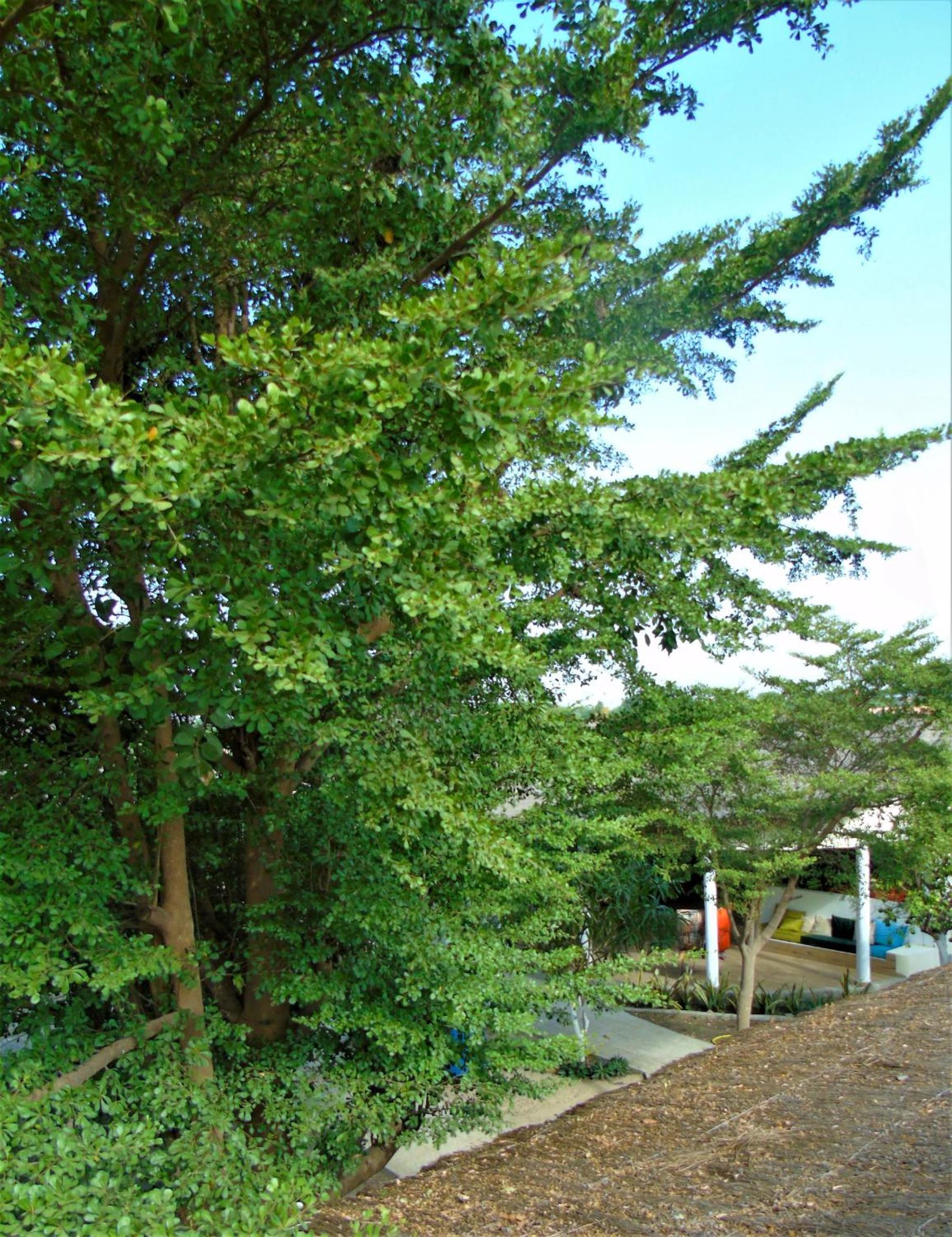 WouroBa view 5