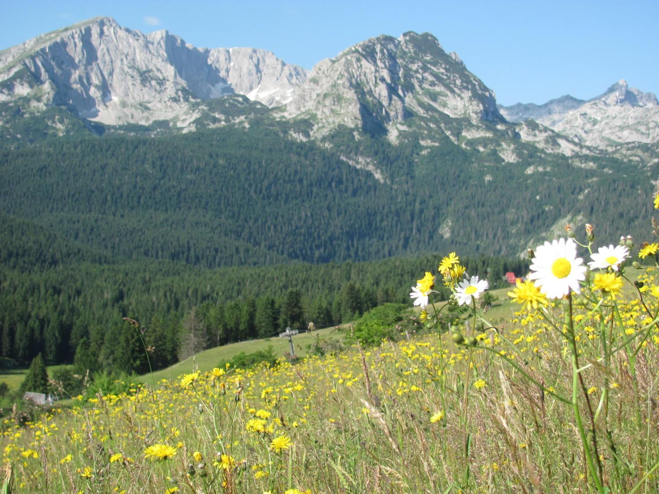 Photo 21
