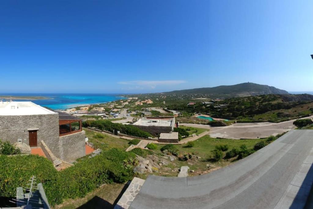 Panoramic villa on top of Capo Falcone photo 3