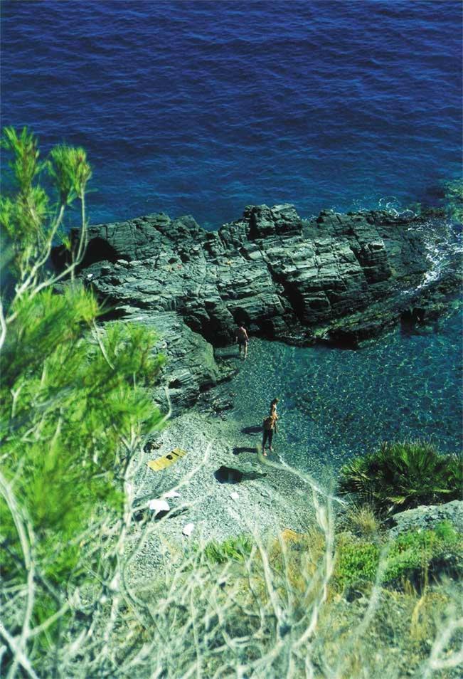 Jardines del Mar Salobreña