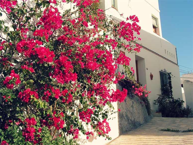 Jardines del Mar Salobreña