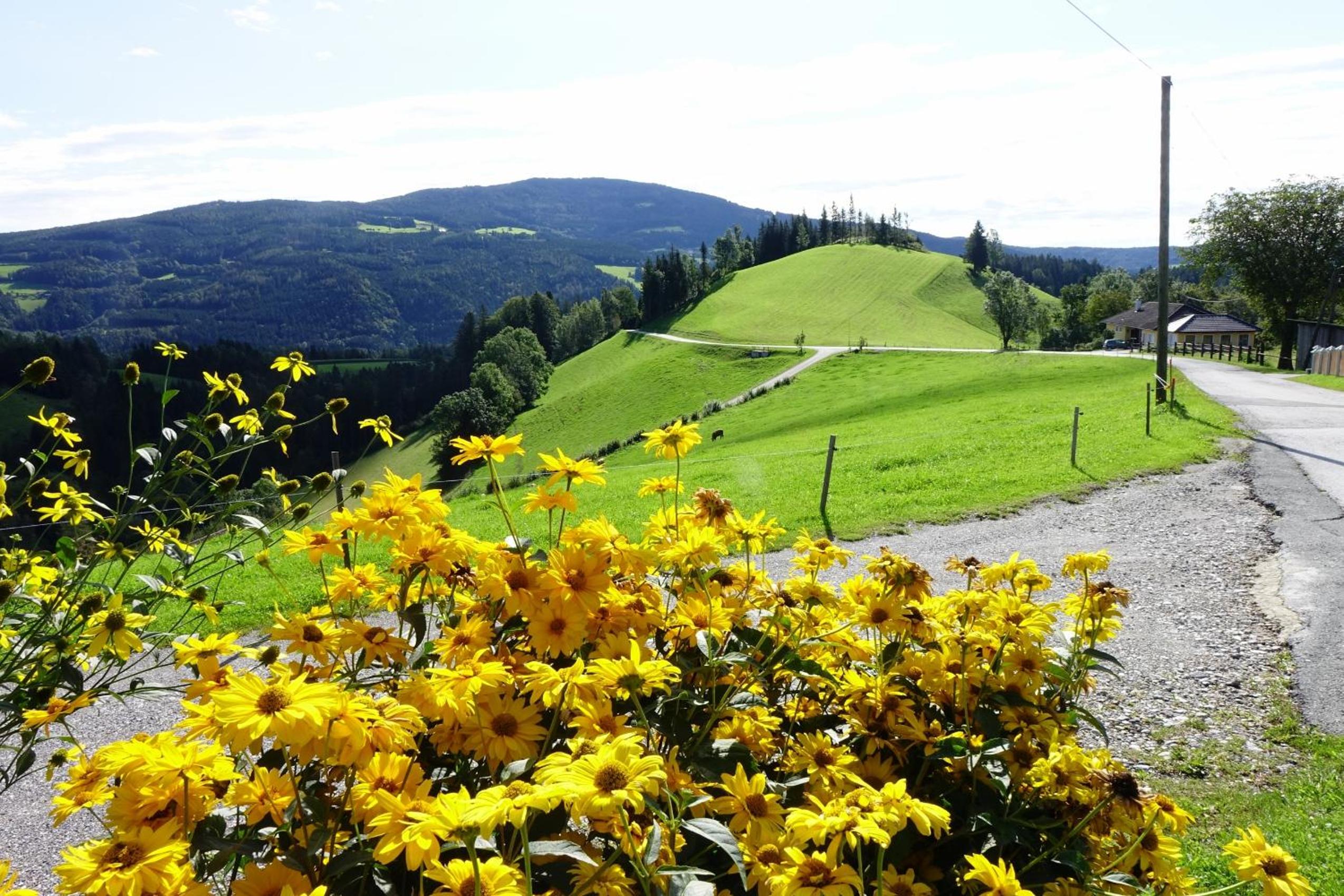 Ferienwohnungen Perhofer