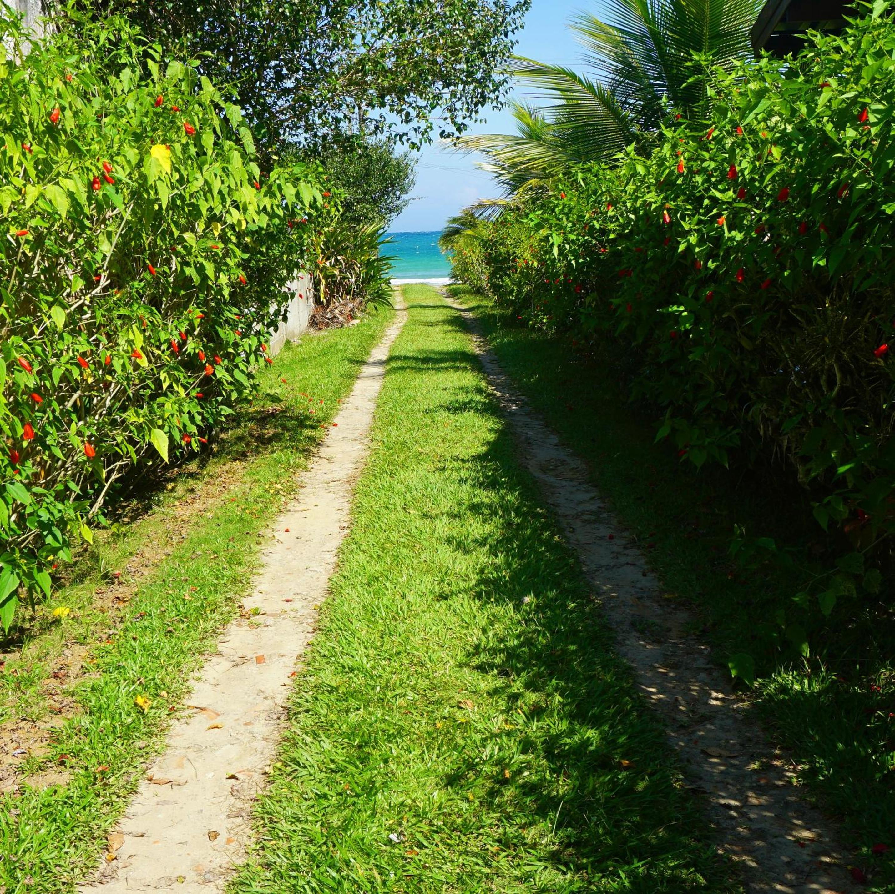 Caminho da areia