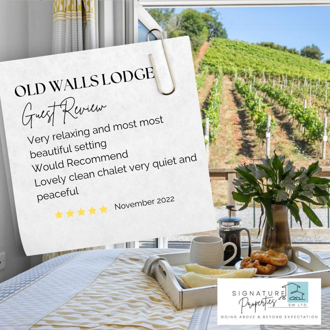 Old Walls Vineyard, photo 26