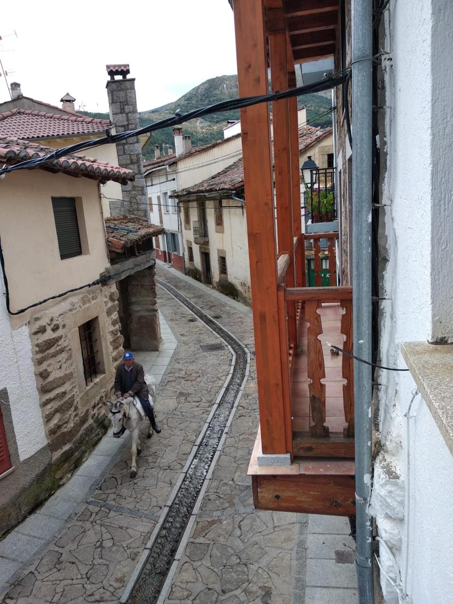 EL PIORNO DE ALCACERA