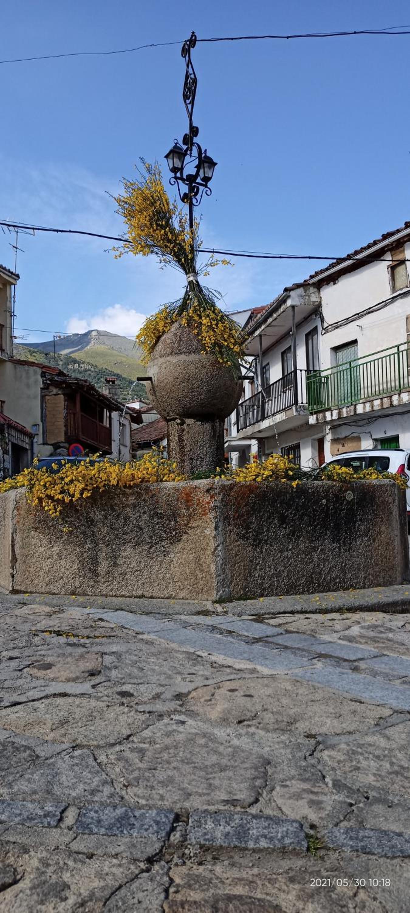 EL PIORNO DE ALCACERA