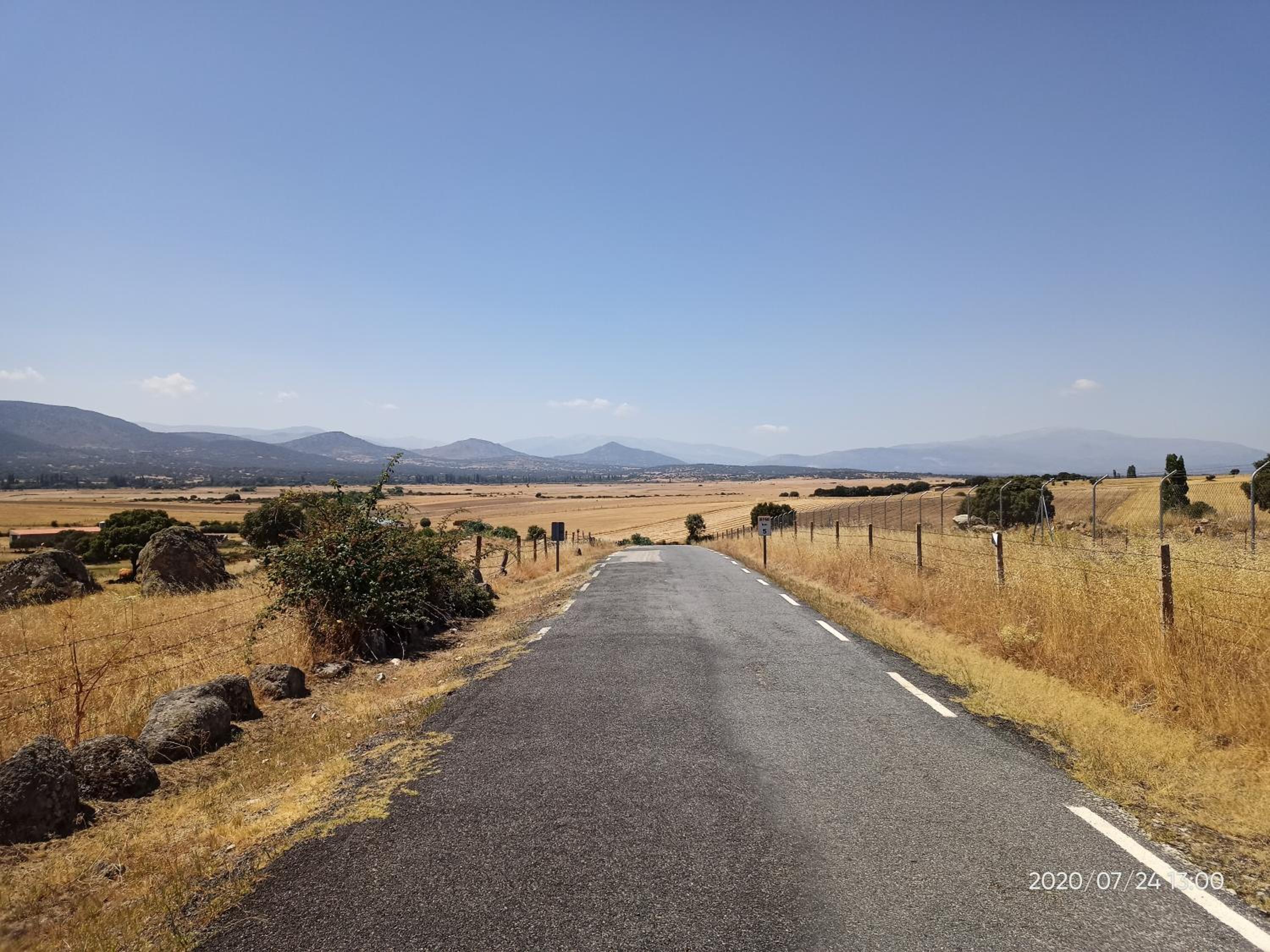 EL PIORNO DE ALCACERA