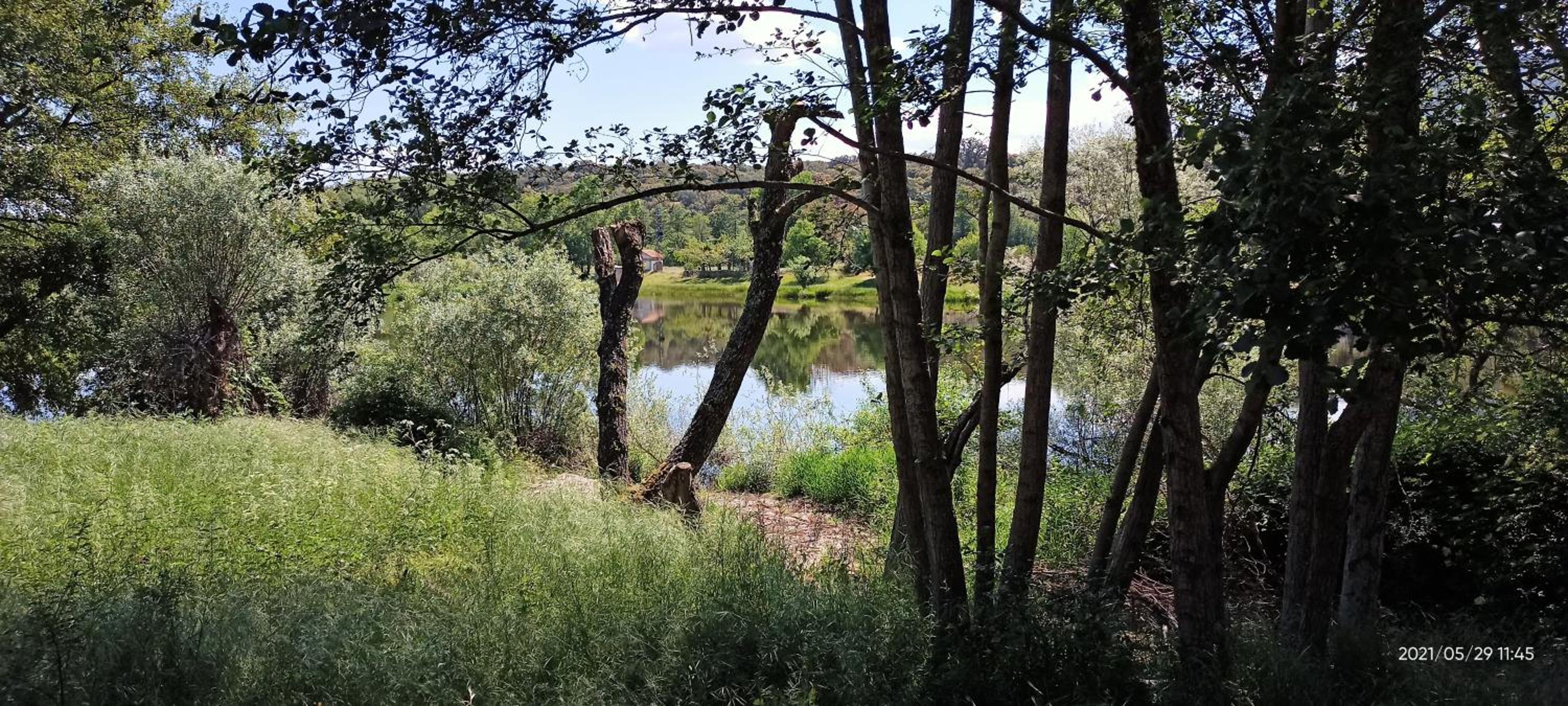 EL PIORNO DE ALCACERA
