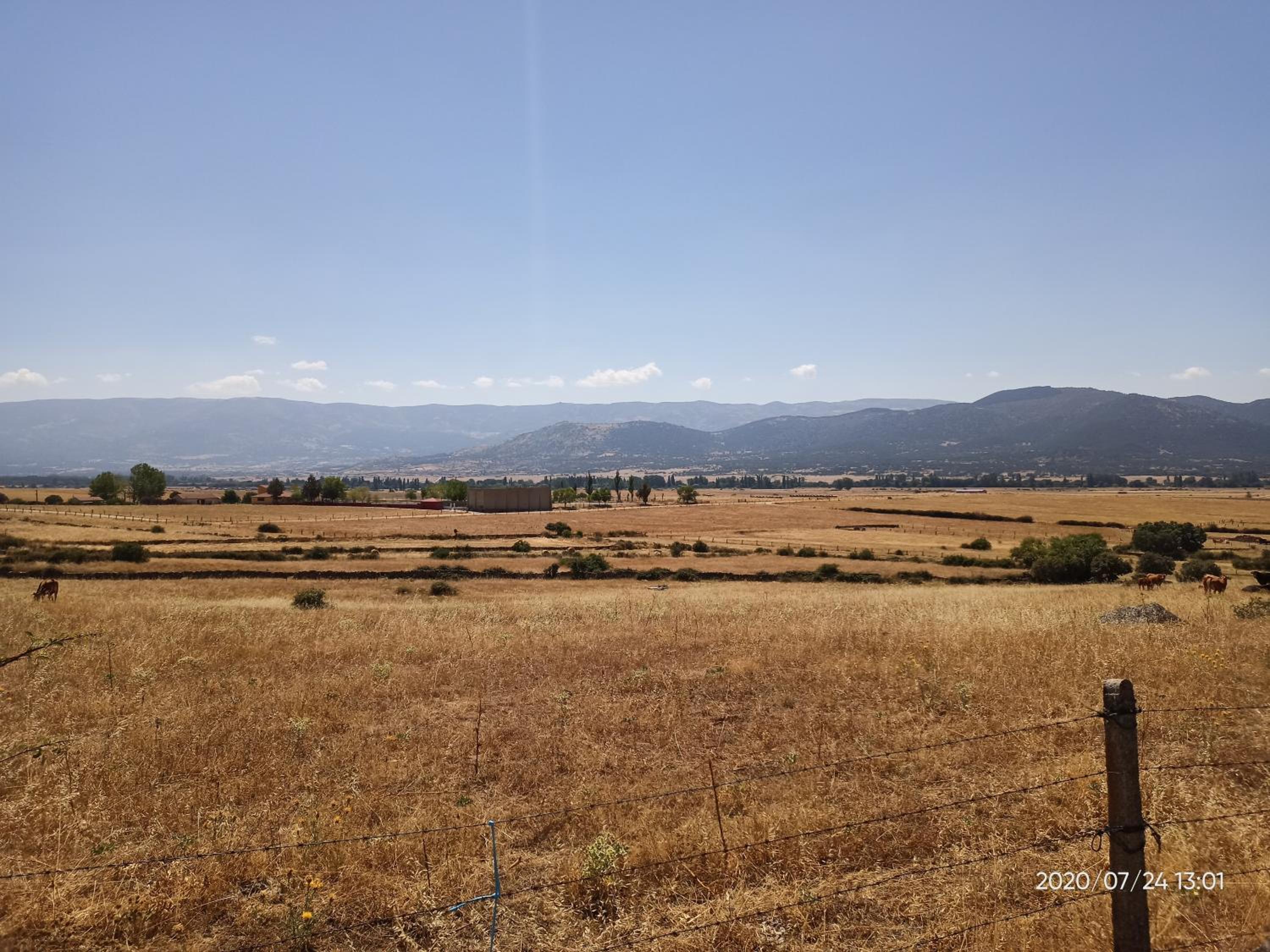 EL PIORNO DE ALCACERA