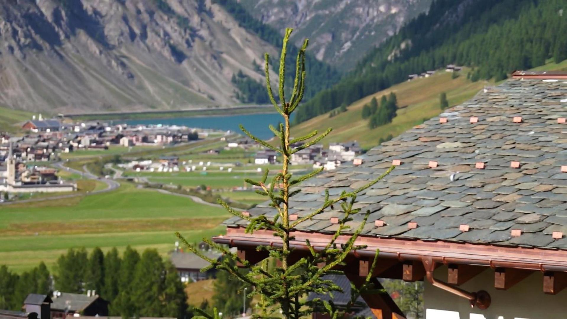 Chalet Elena
