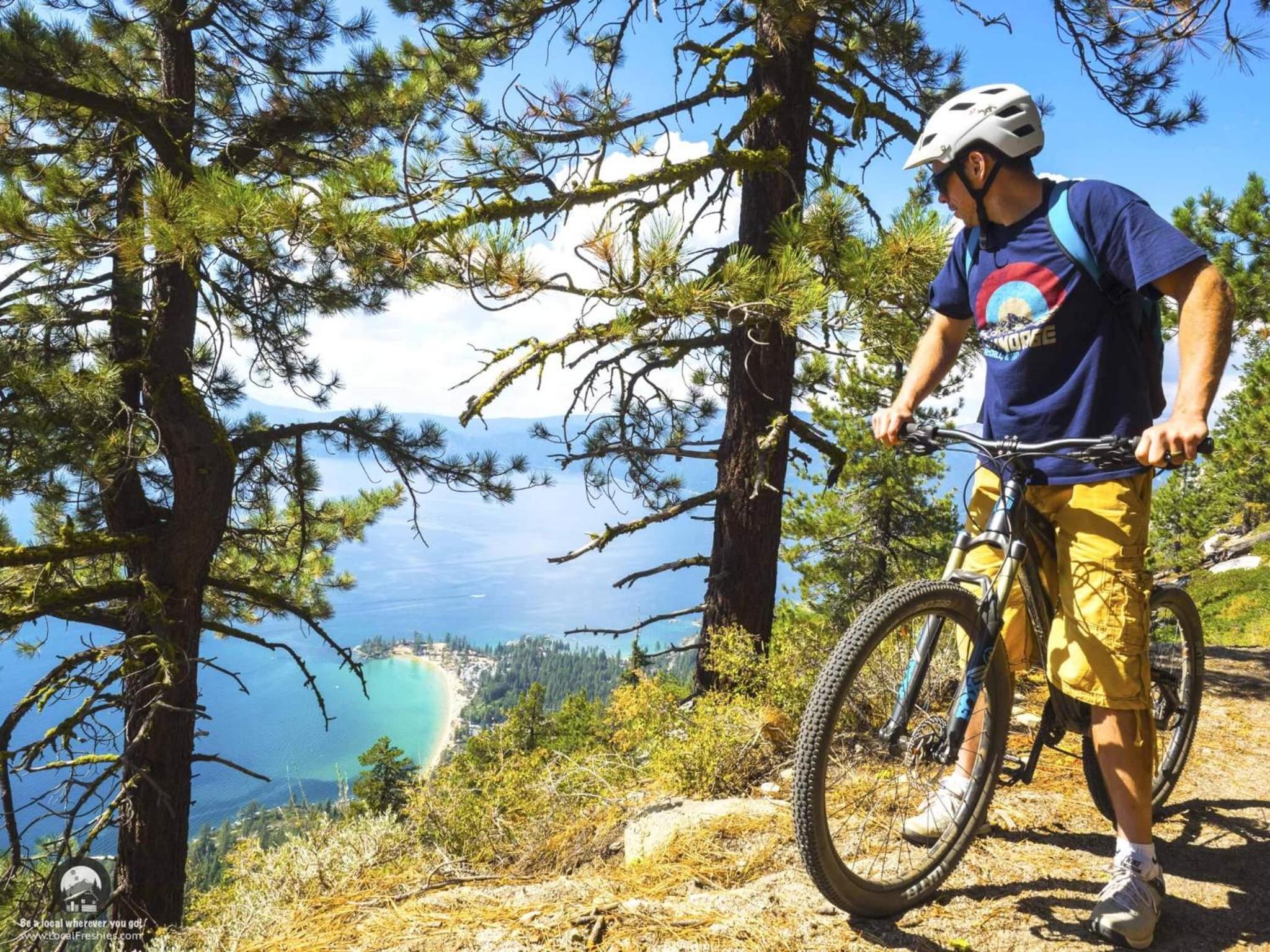 Lake Tahoe Vacations - LUXE 4 Blue Diamond Lake Tahoe Lodge - Property Image 17
