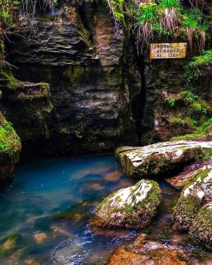 Casuta din Cotroape - Maramureș view 4