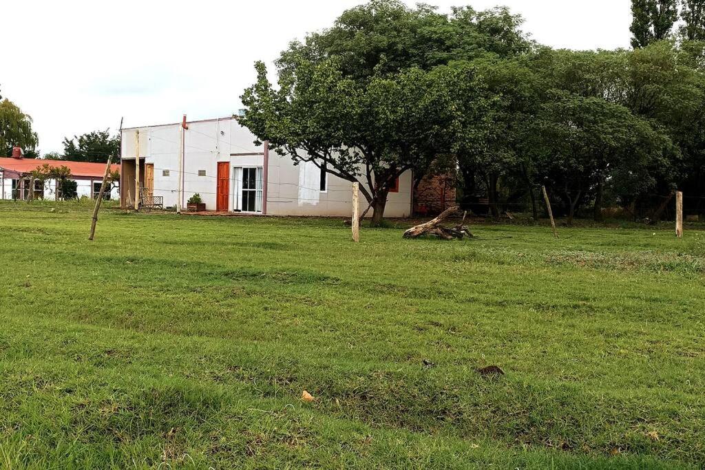 Cabañas Omelen Antü
