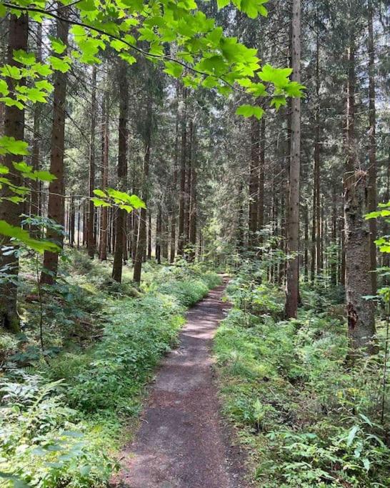 Ferienwohnung Waldblick