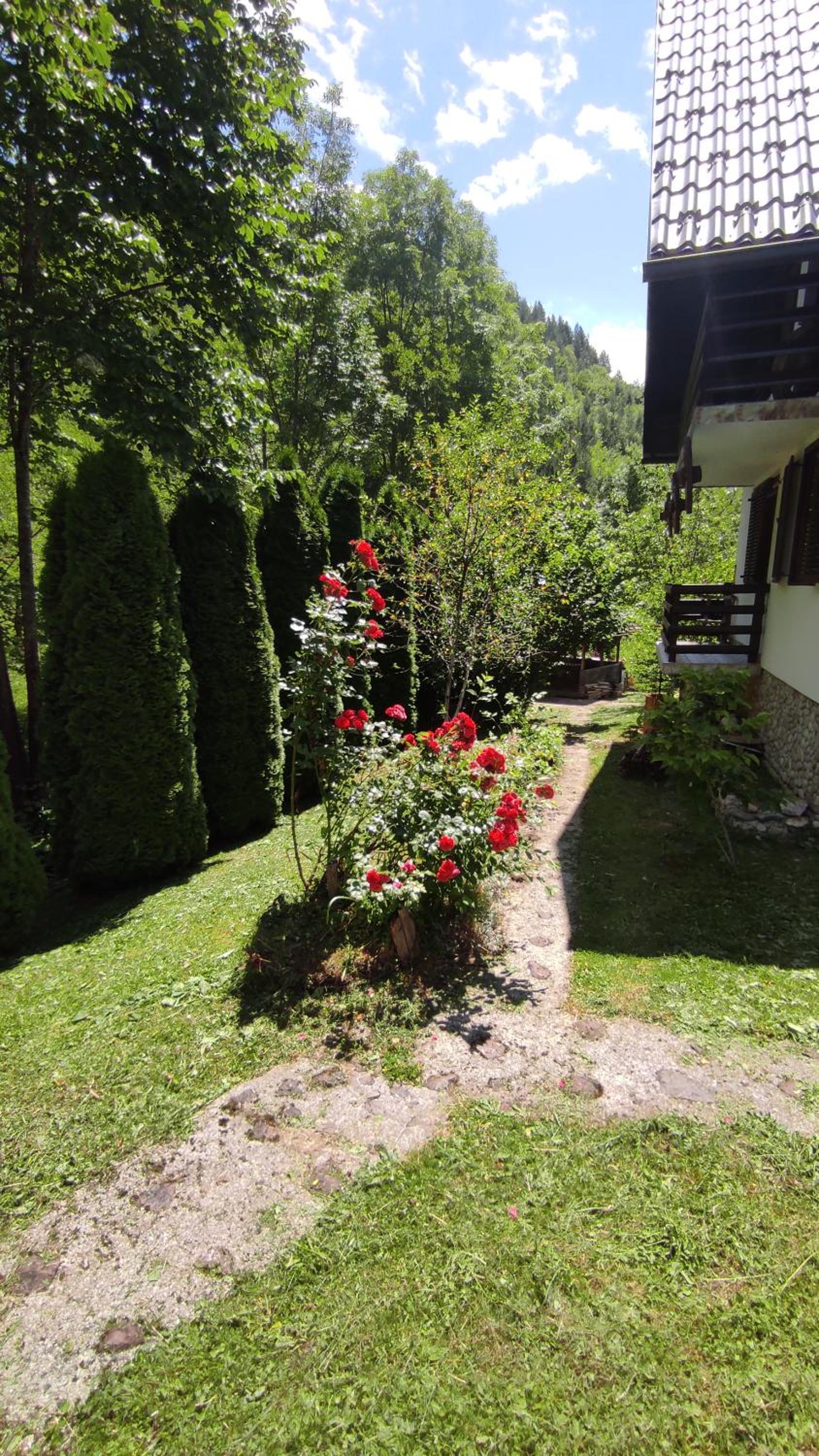 Apartman Mitrić
