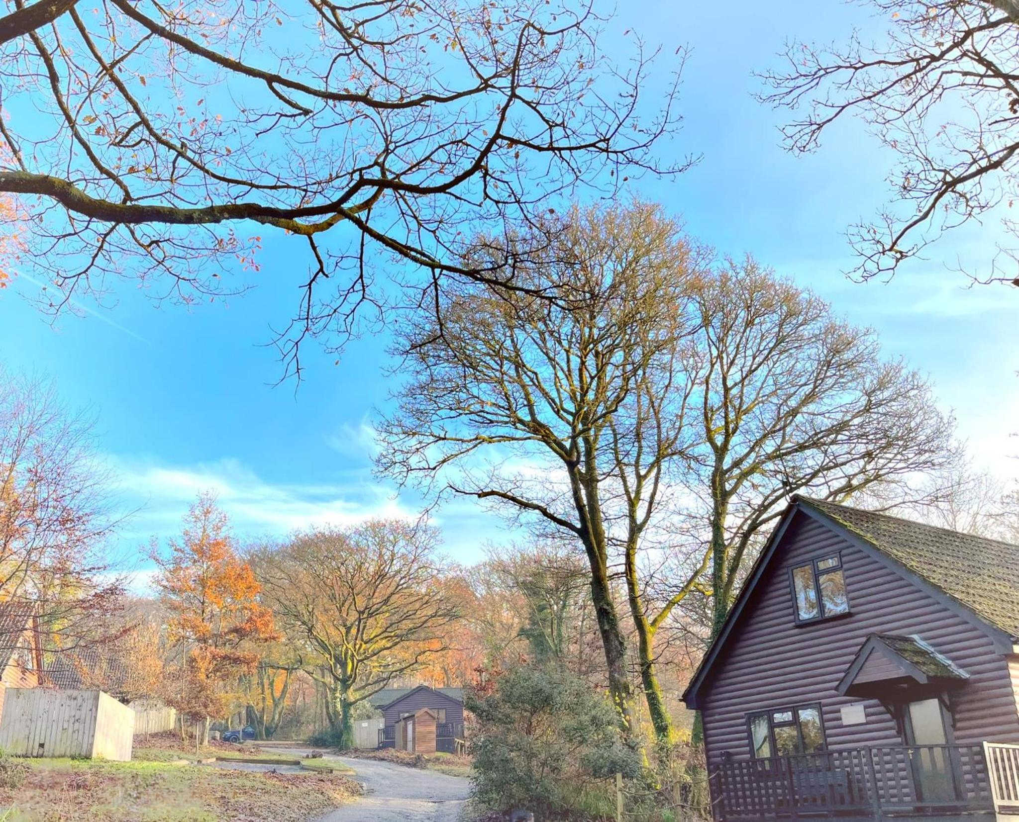 Snug hut 5-Hot Tub-Woodland Lodges-Pembrokshire-Tenby view 2