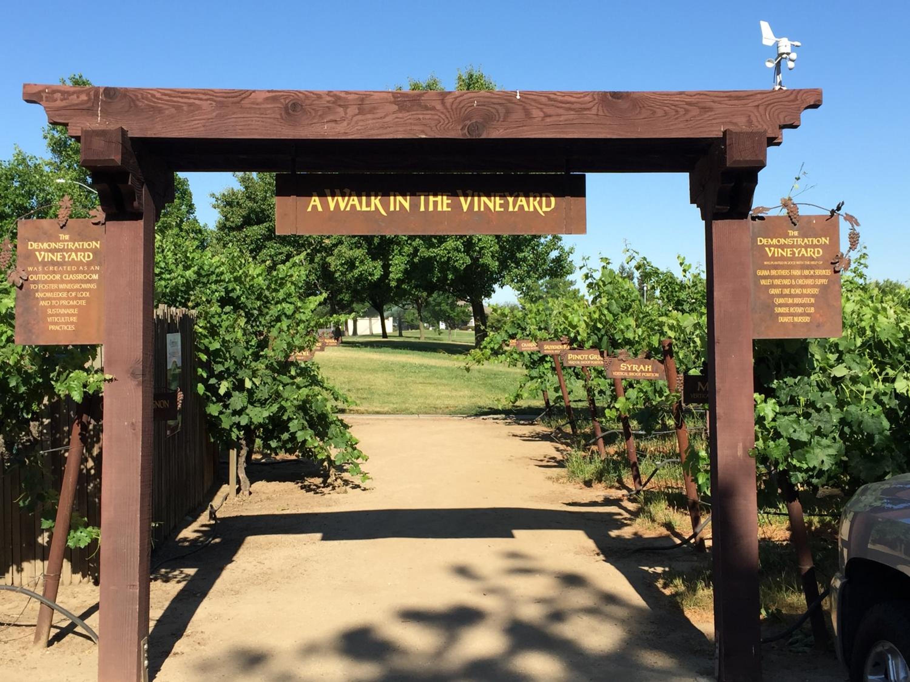Budget Inn of Lodi view 4