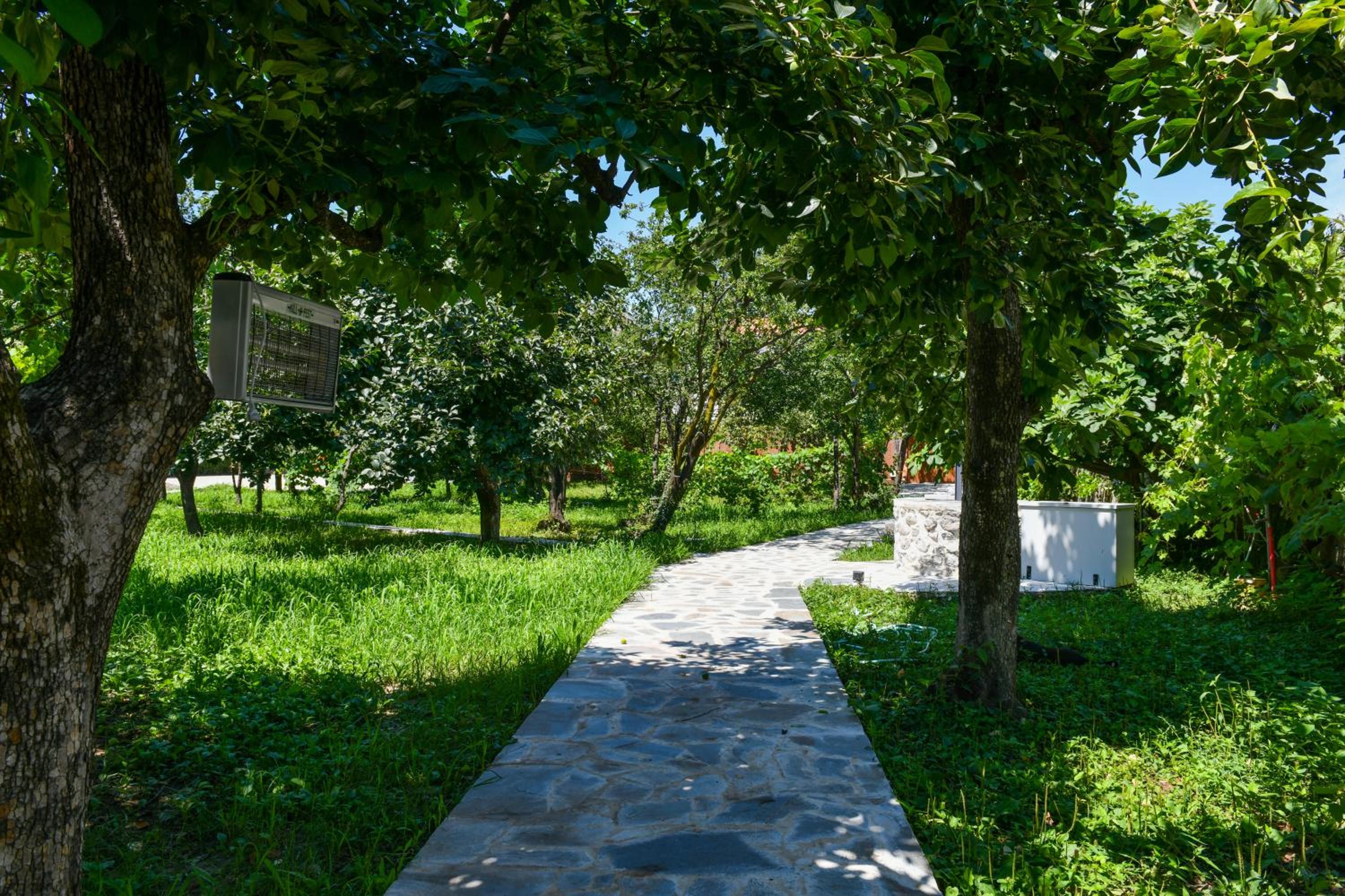 Nicolaus Hidden Gem Villa