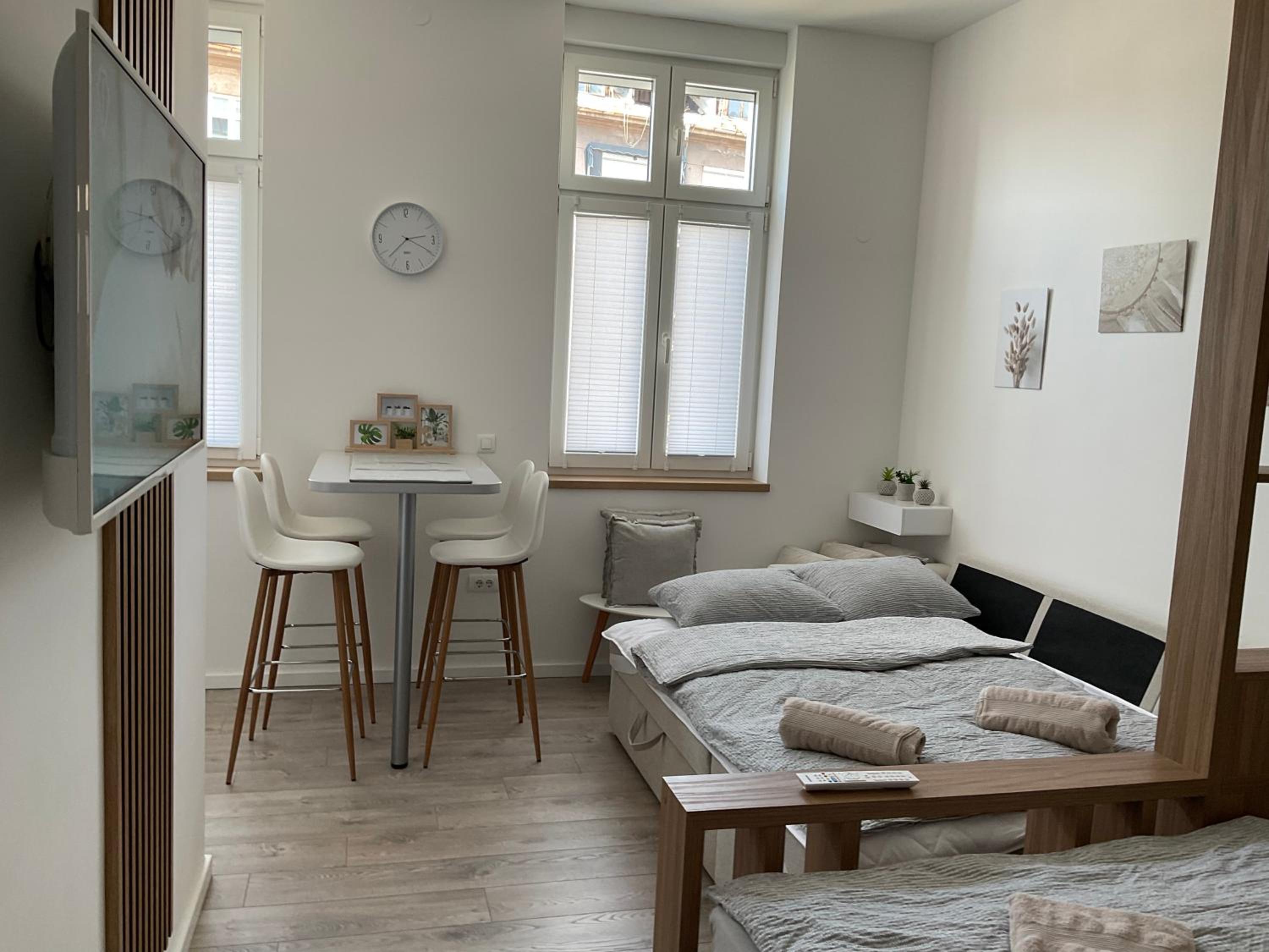 Apartments Studio Center
