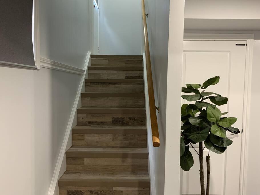 *Cozy, newly renovated, fully equipped*