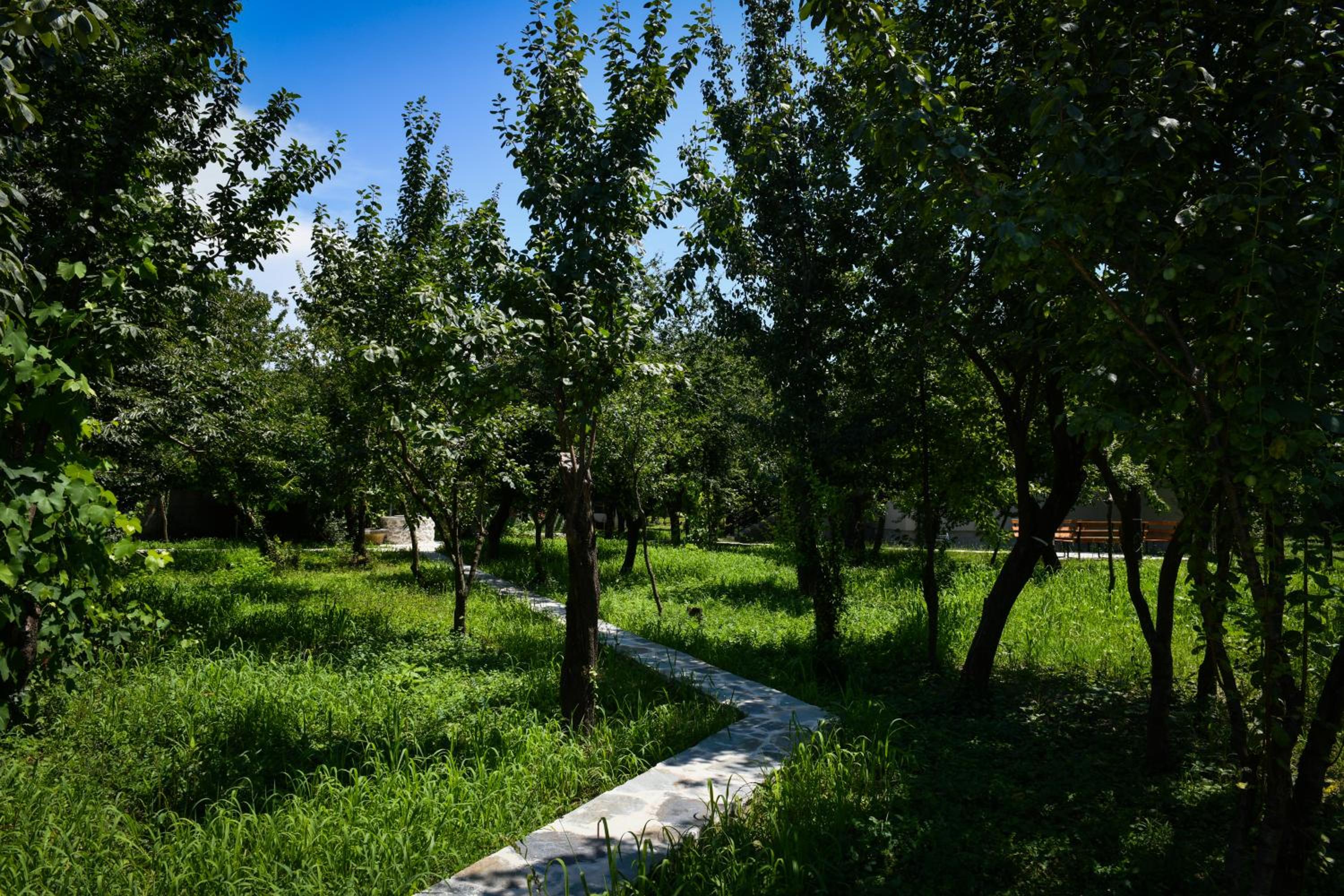 Nicolaus Hidden Gem Villa