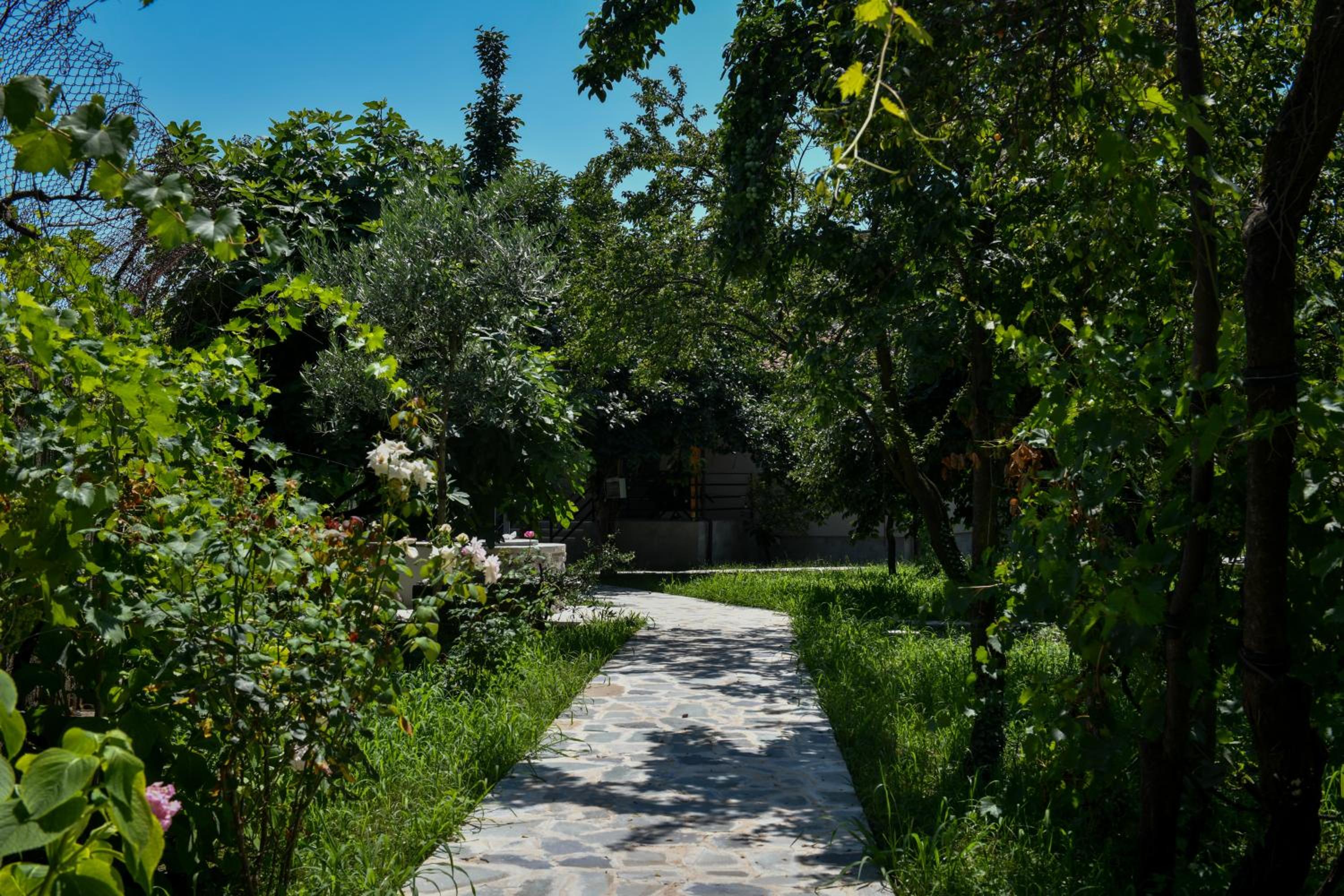 Nicolaus Hidden Gem Villa