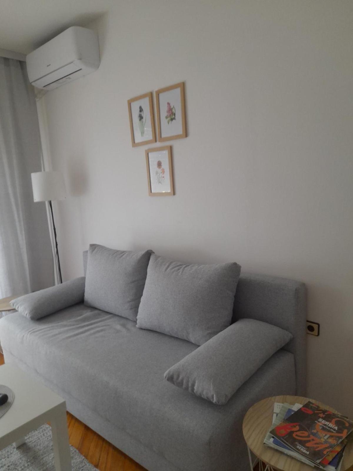 Apartment Ljiljan 2 Niš view 2