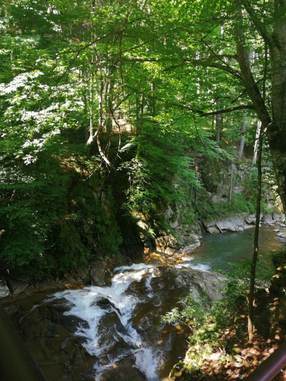 Natura Slanic Moldova