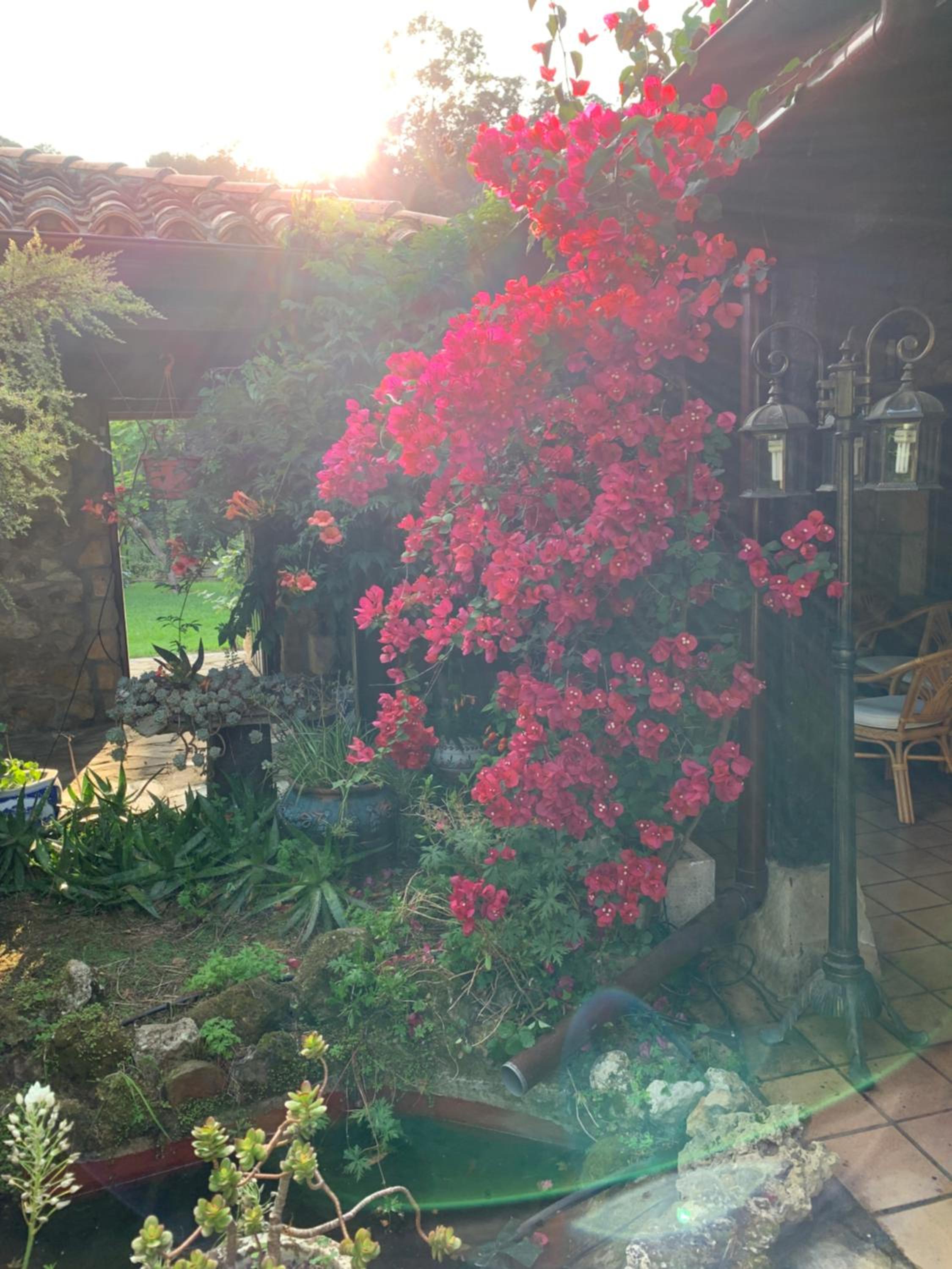 Photo 48