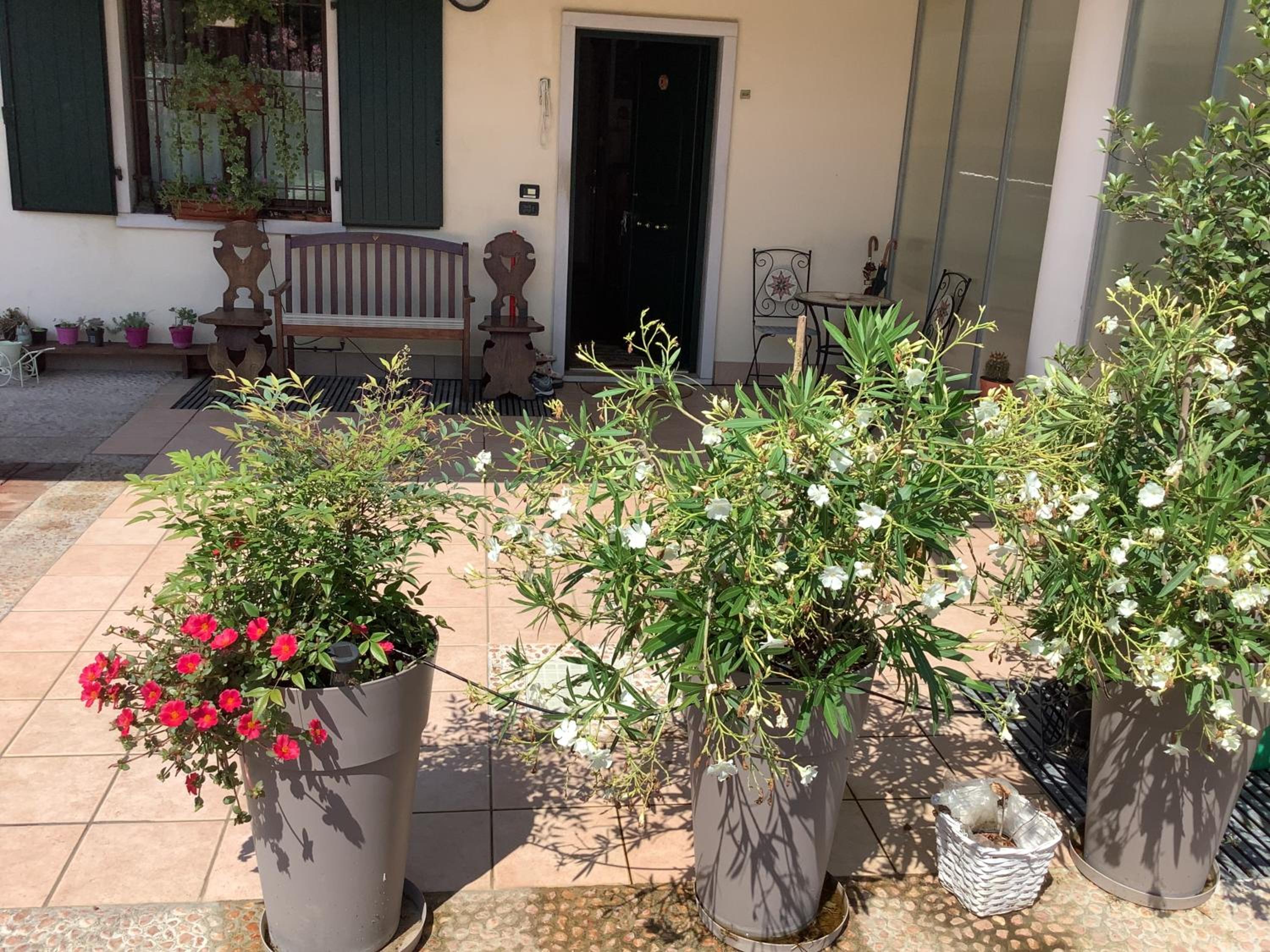 Edys Family Home