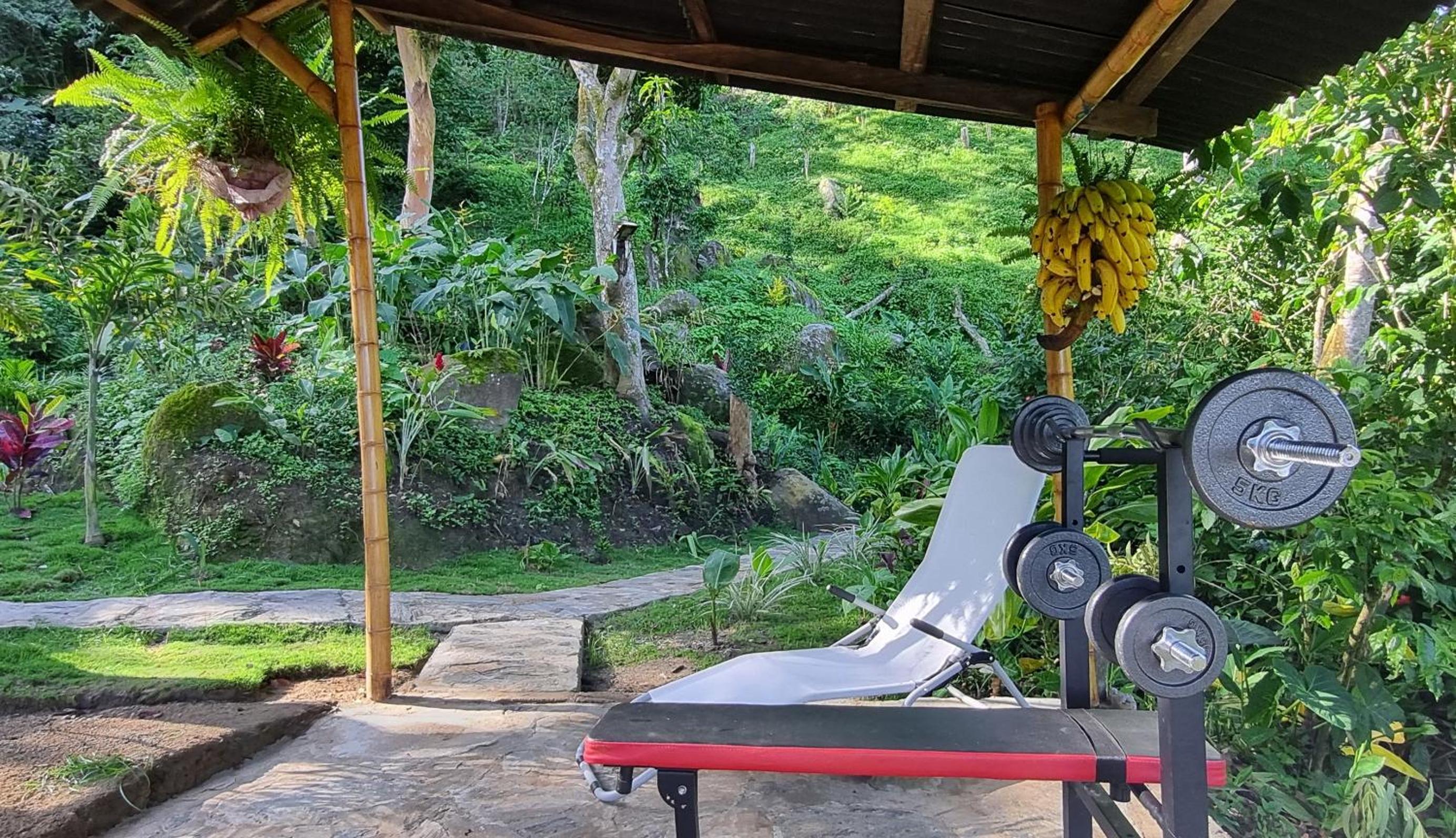 Minca Sintropia - Sustainable Lodge & Organic Coffee Finca
