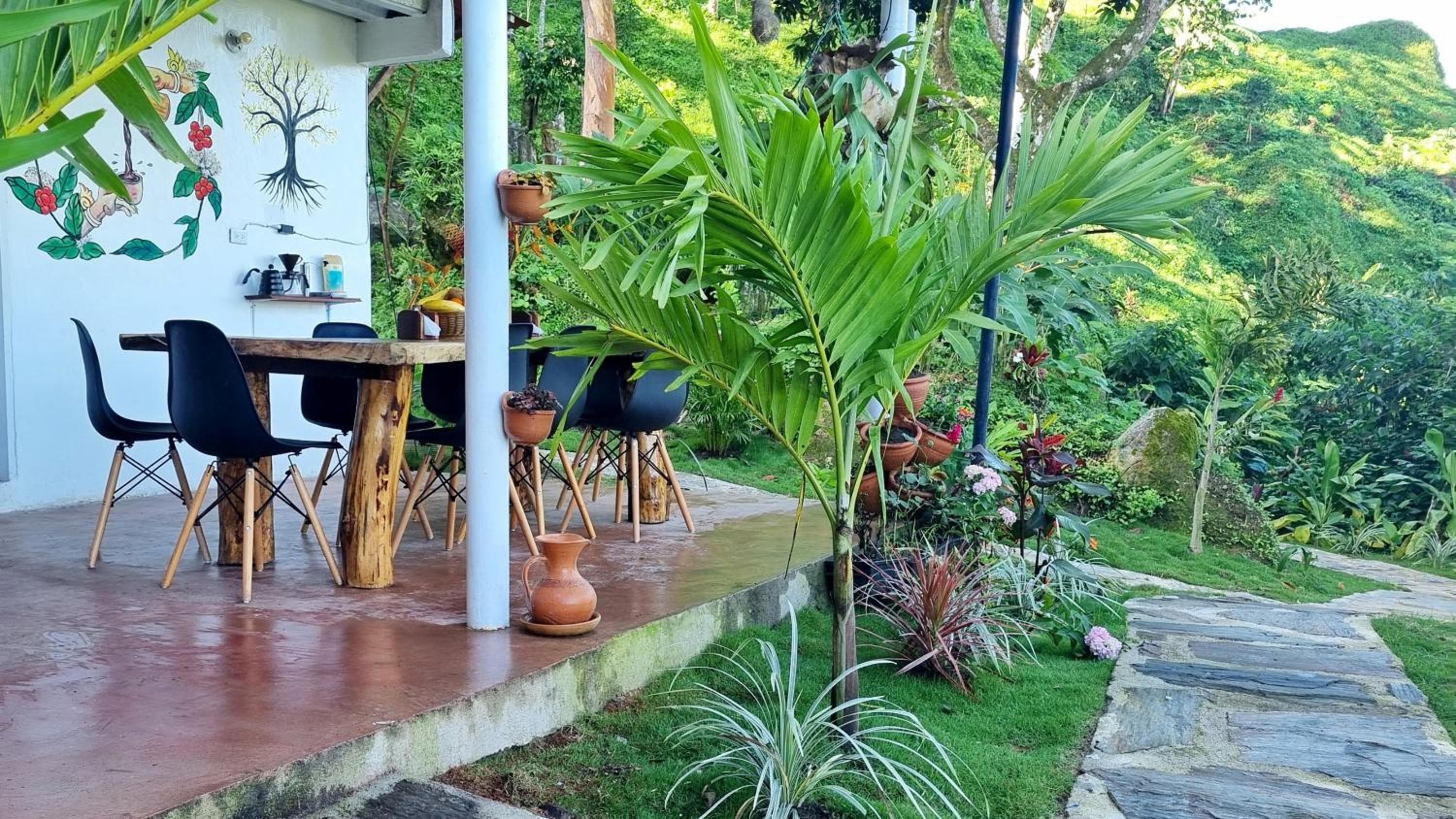 Minca Sintropia - Sustainable Lodge & Organic Coffee Finca