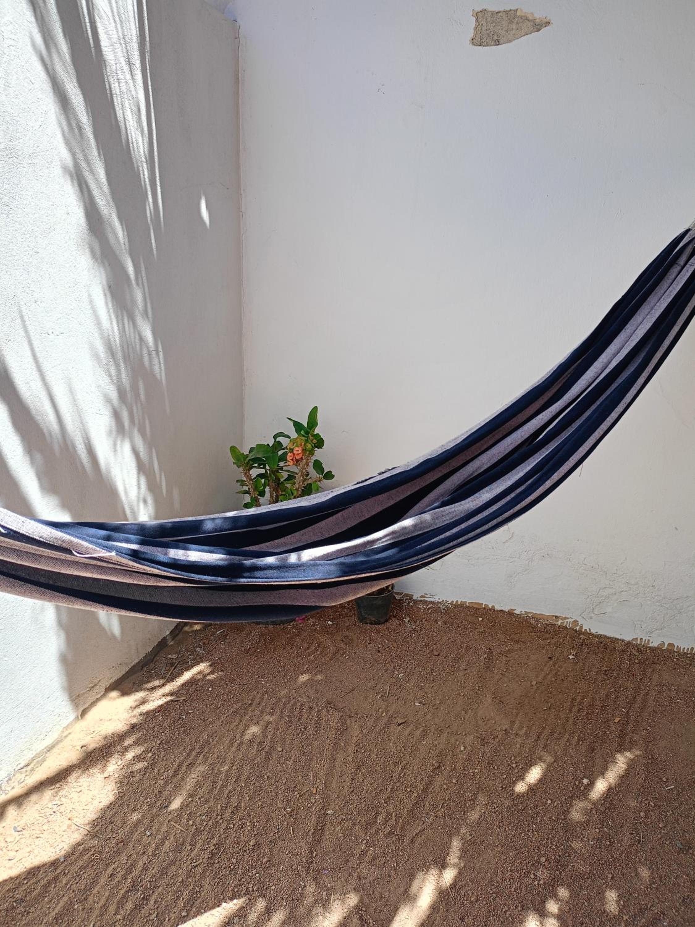 House with backyard in dahab