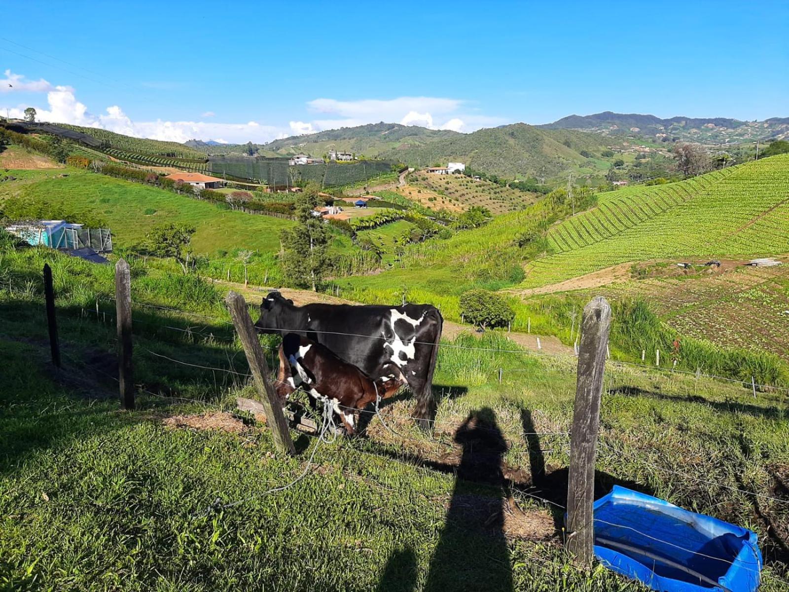 Casa de Campo vía El Peñol Guatapé