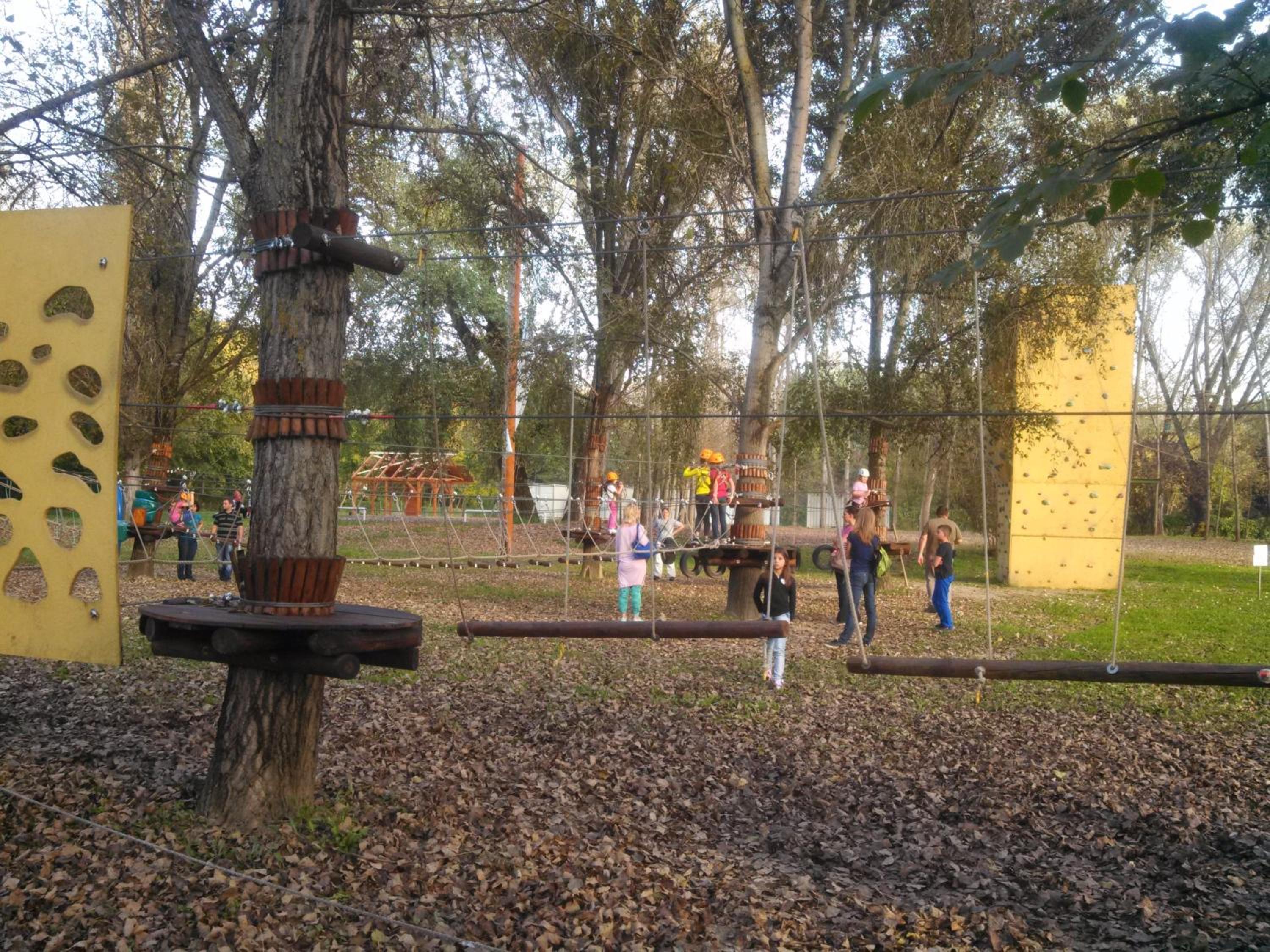 Photo 43