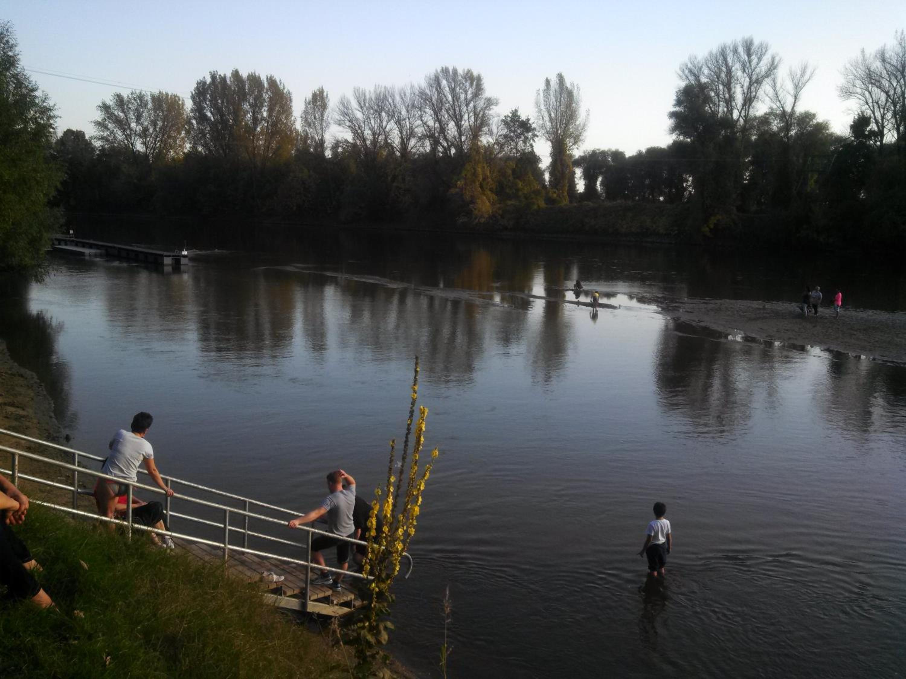 Photo 41